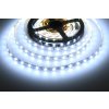 LED pásek SB3-300 vnitřní záruka 3 roky - Studená bílá