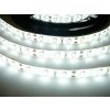 LED pásek SB3-W300 zalitý - Studená bílá