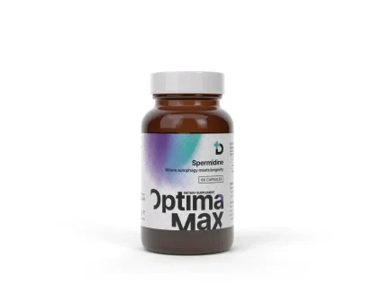 Spermidine 1 864ee3cc a3ce 4147 a109 5de13b0cd75e