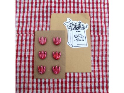 Sada 6 magnetek - kytky