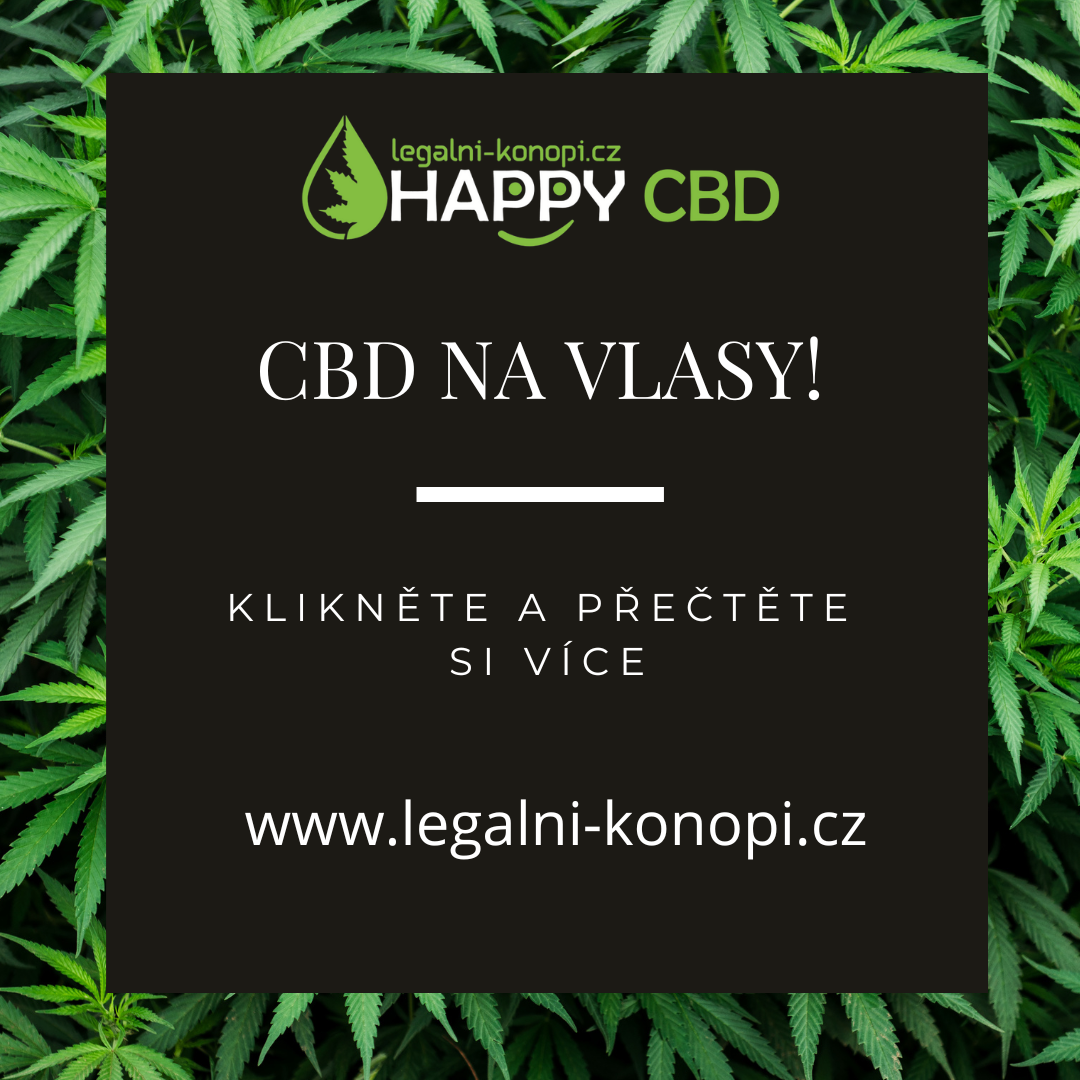 CBD na vlasy