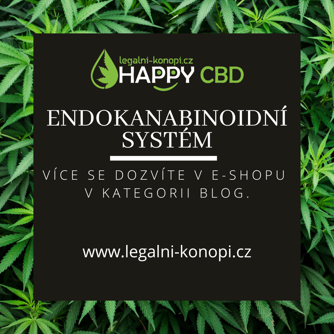 Endokanabinoidní systém