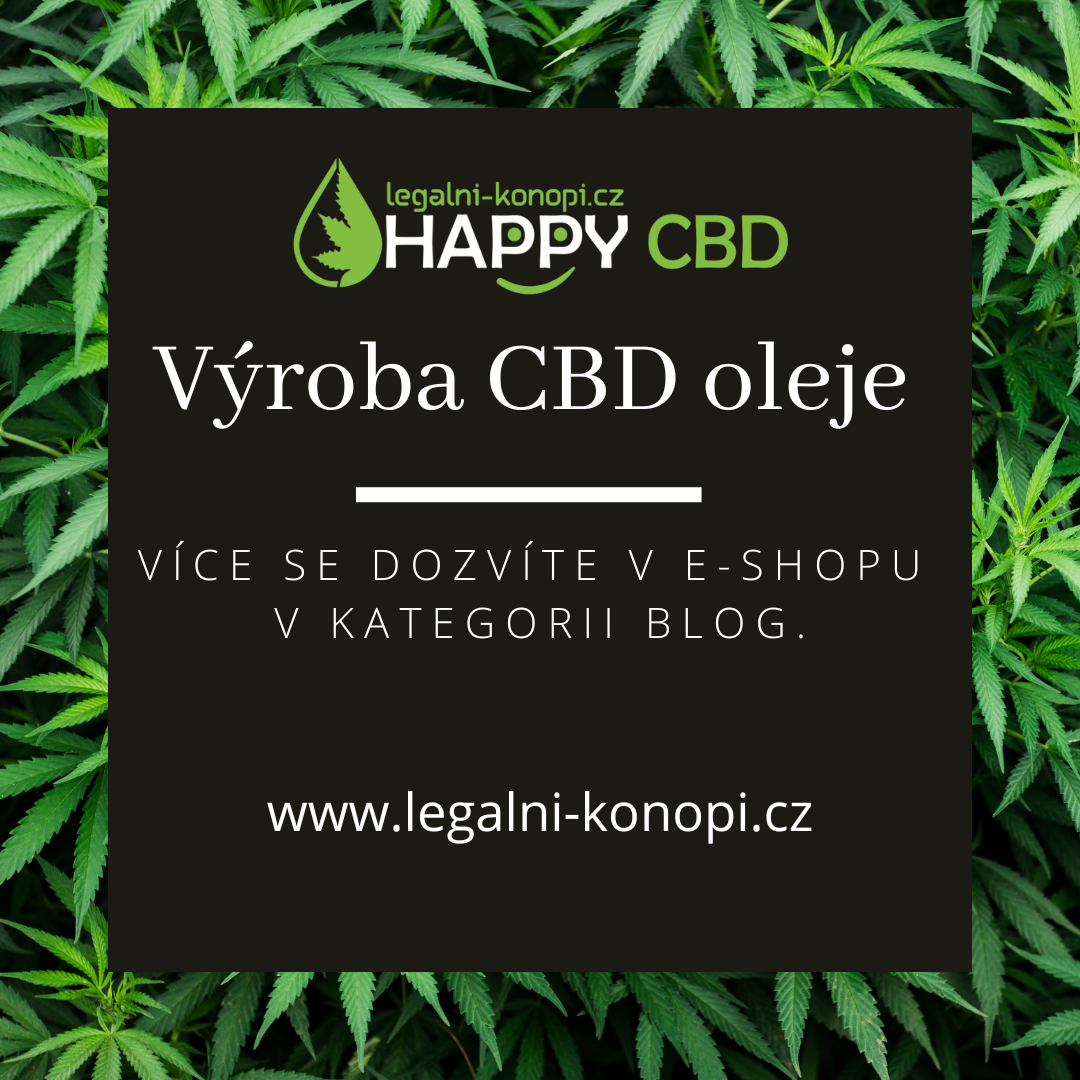 Výroba CBD oleje