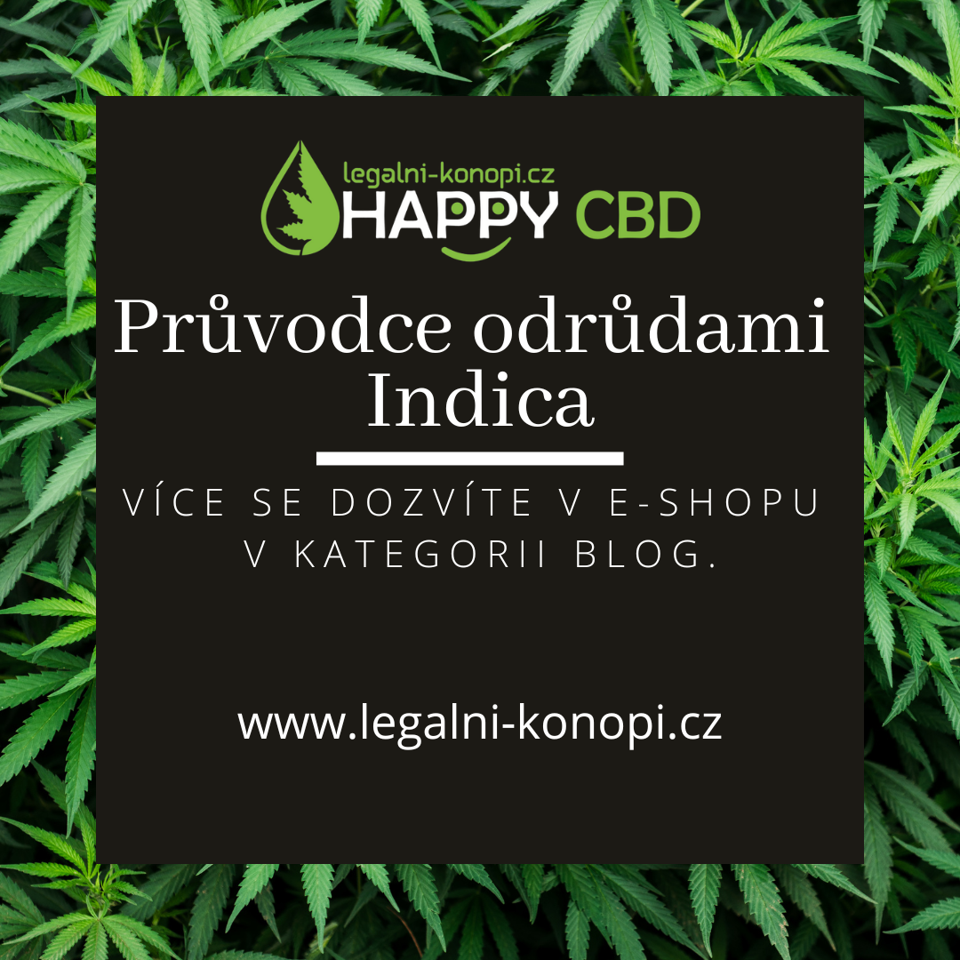 Průvodce odrůdami Indica