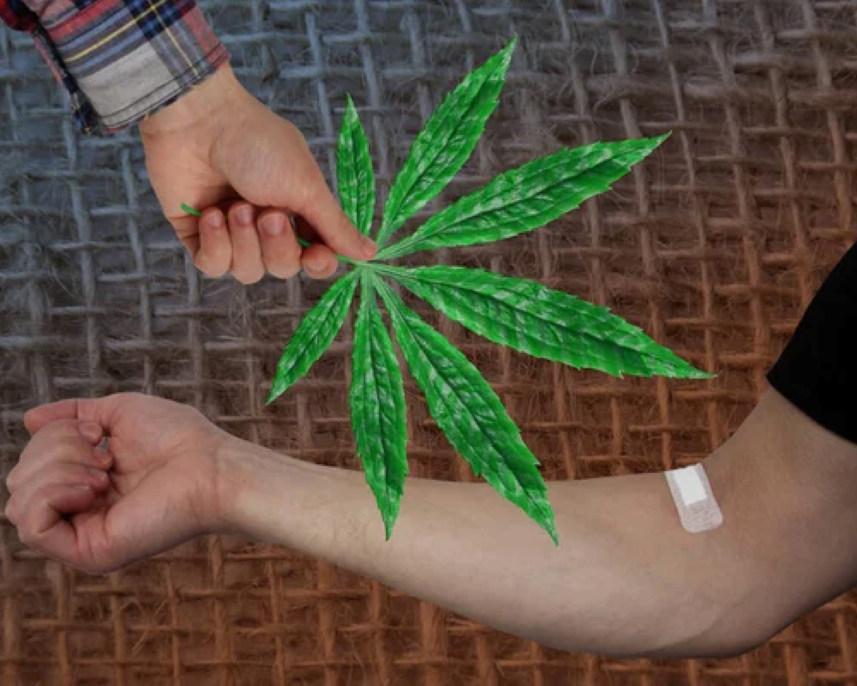 CBD náplasti recenze