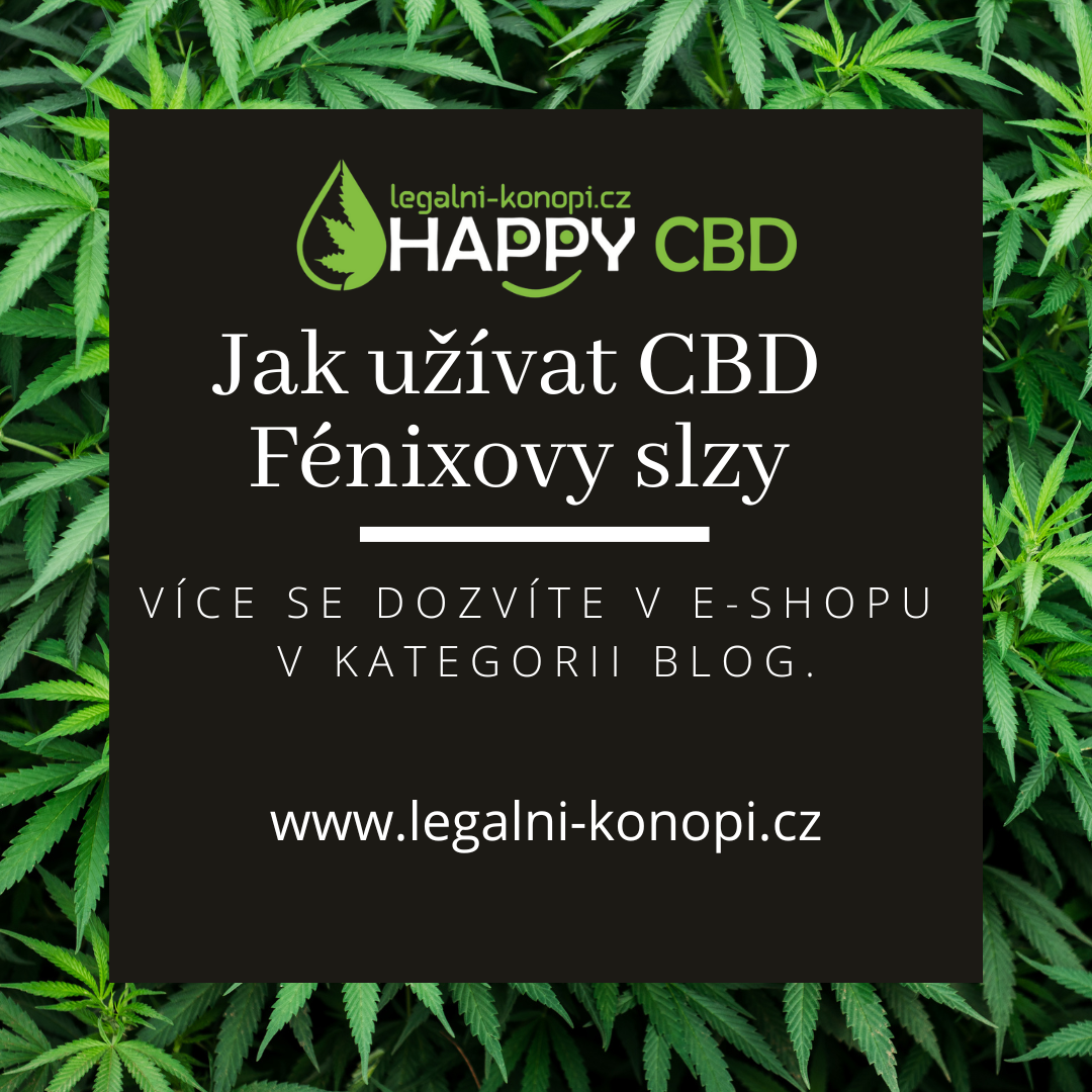 Jak užívat CBD Fénixovy slzy