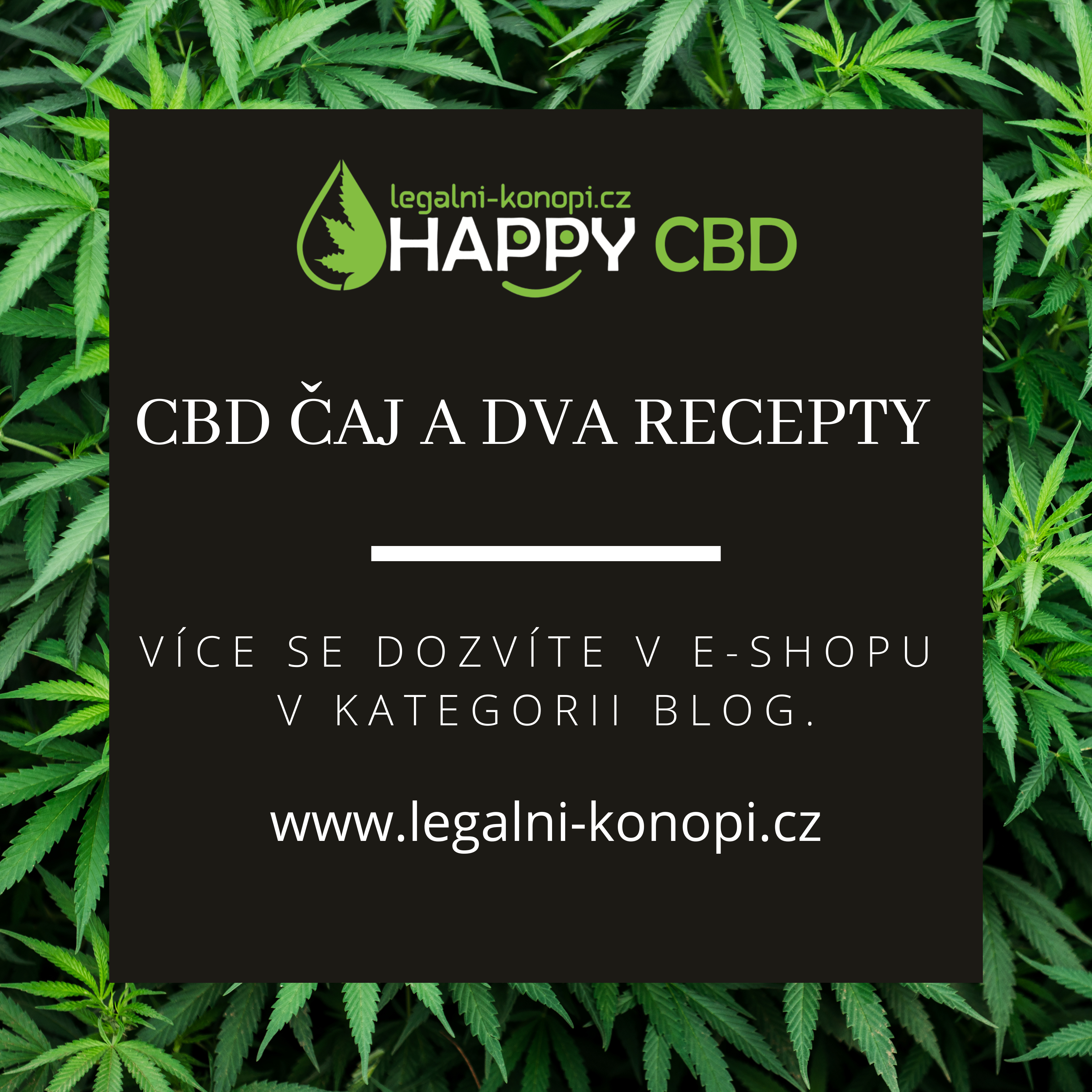 CBD čaj a dva recepty