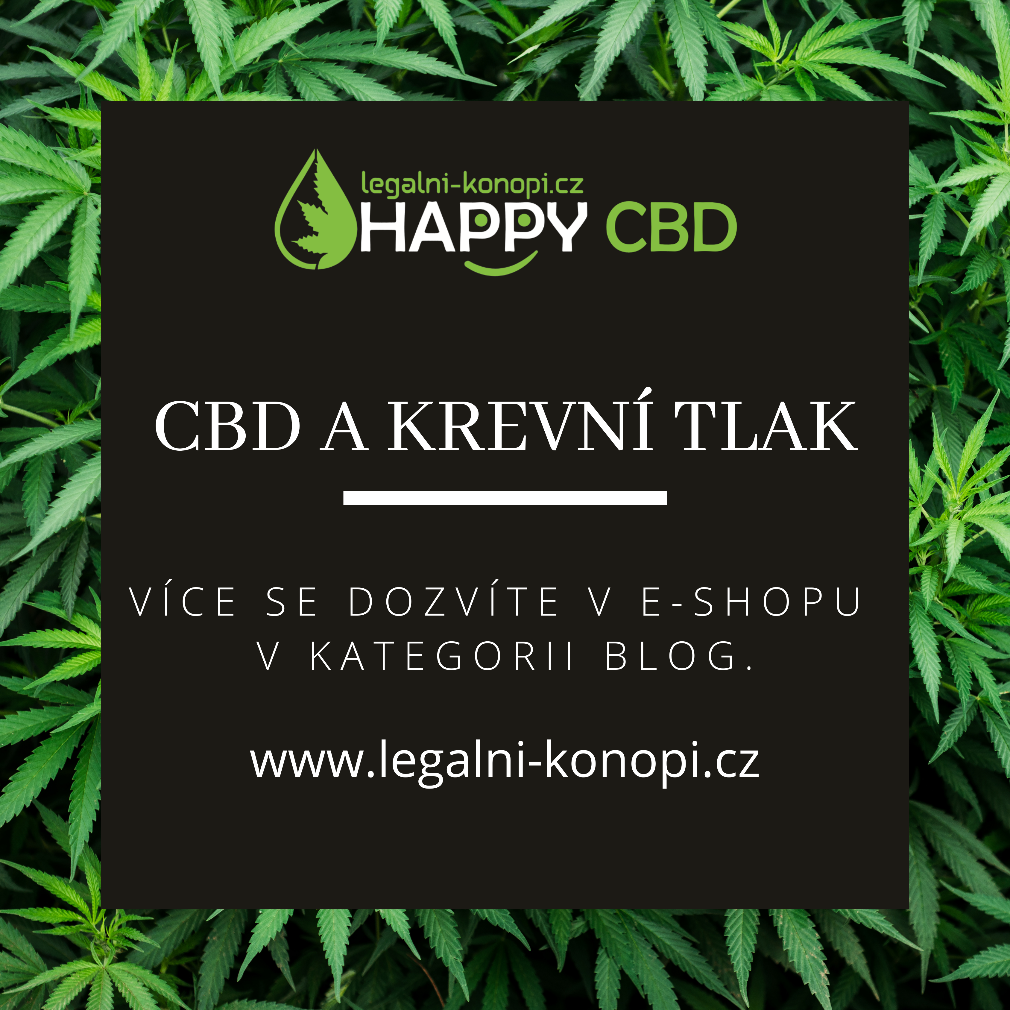 CBD a krevní tlak