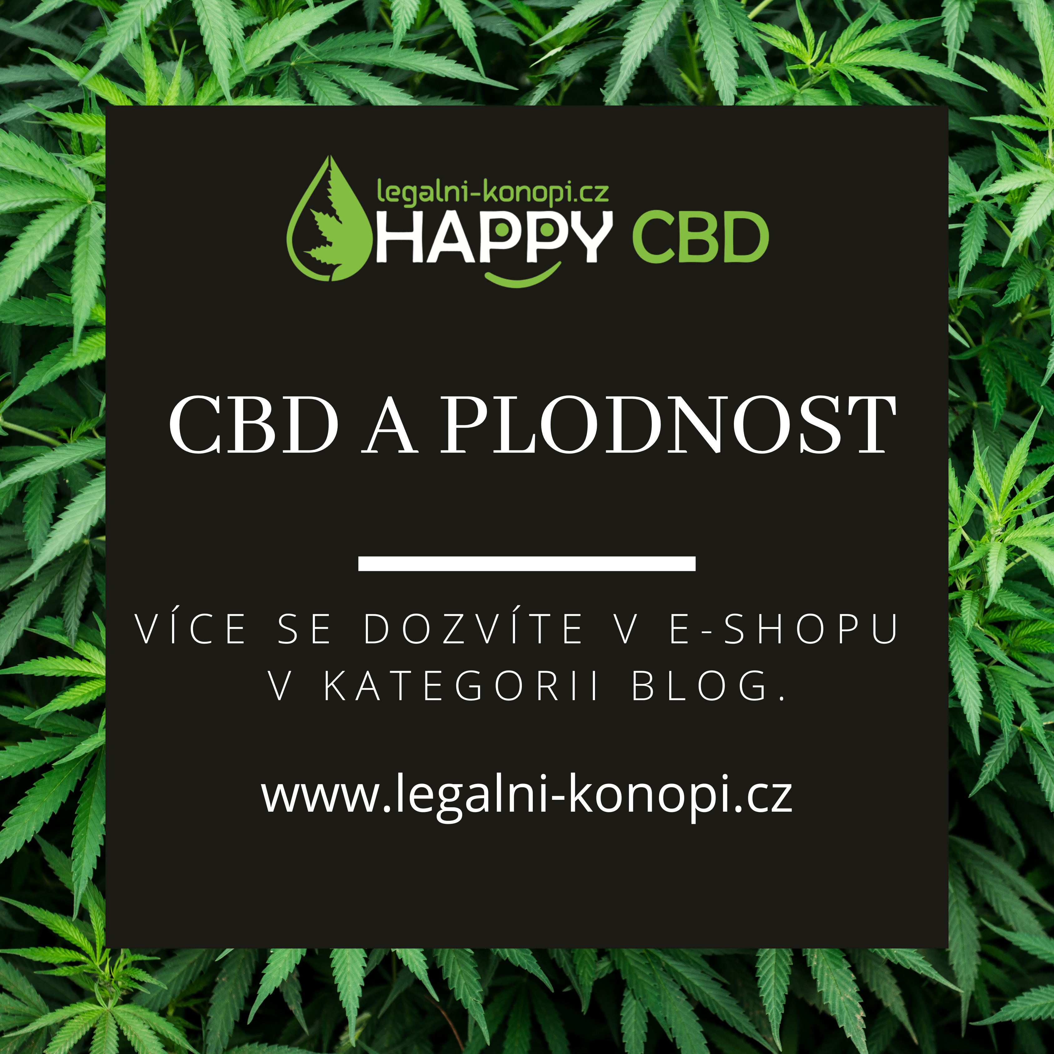 CBD  a plodnost
