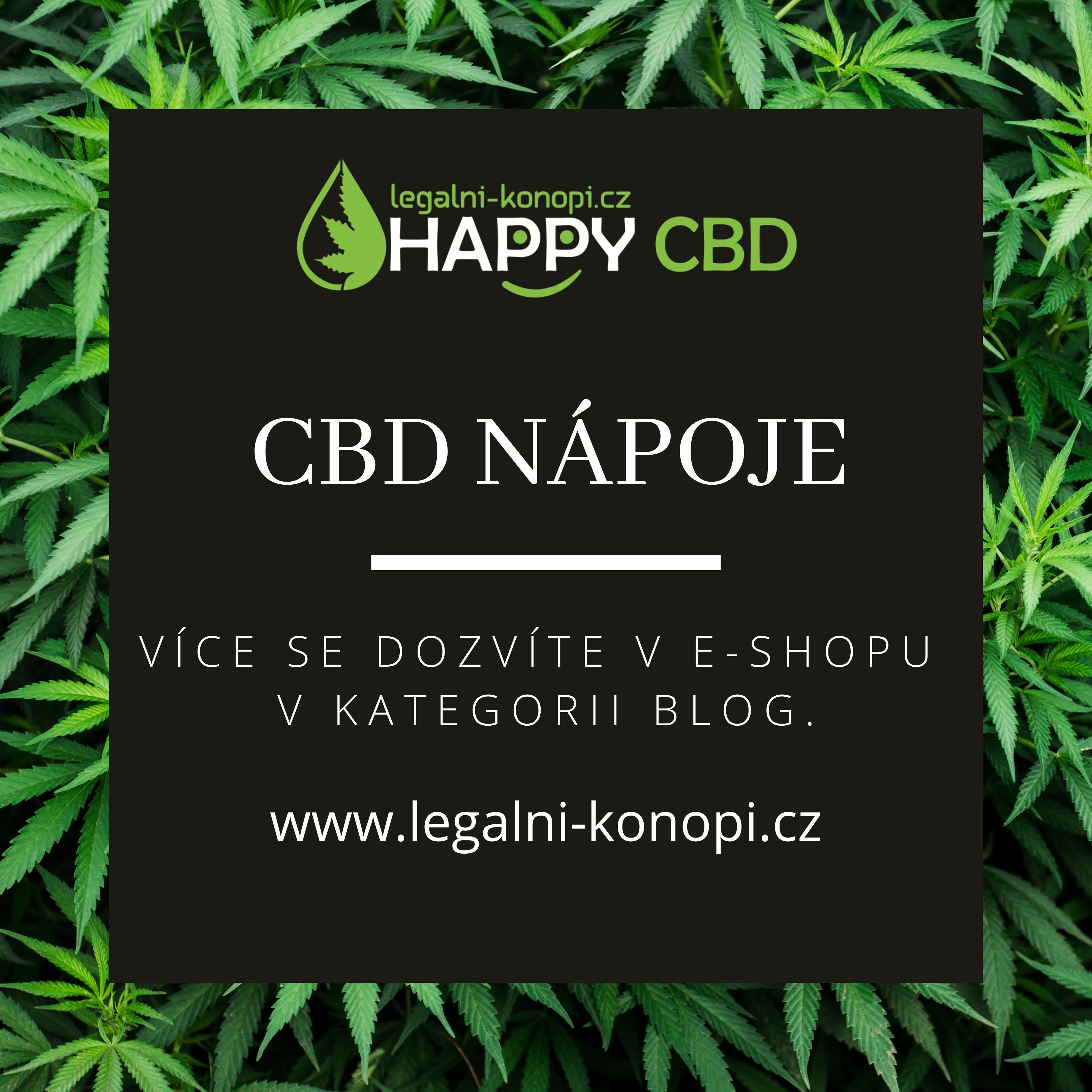 CBD nápoje