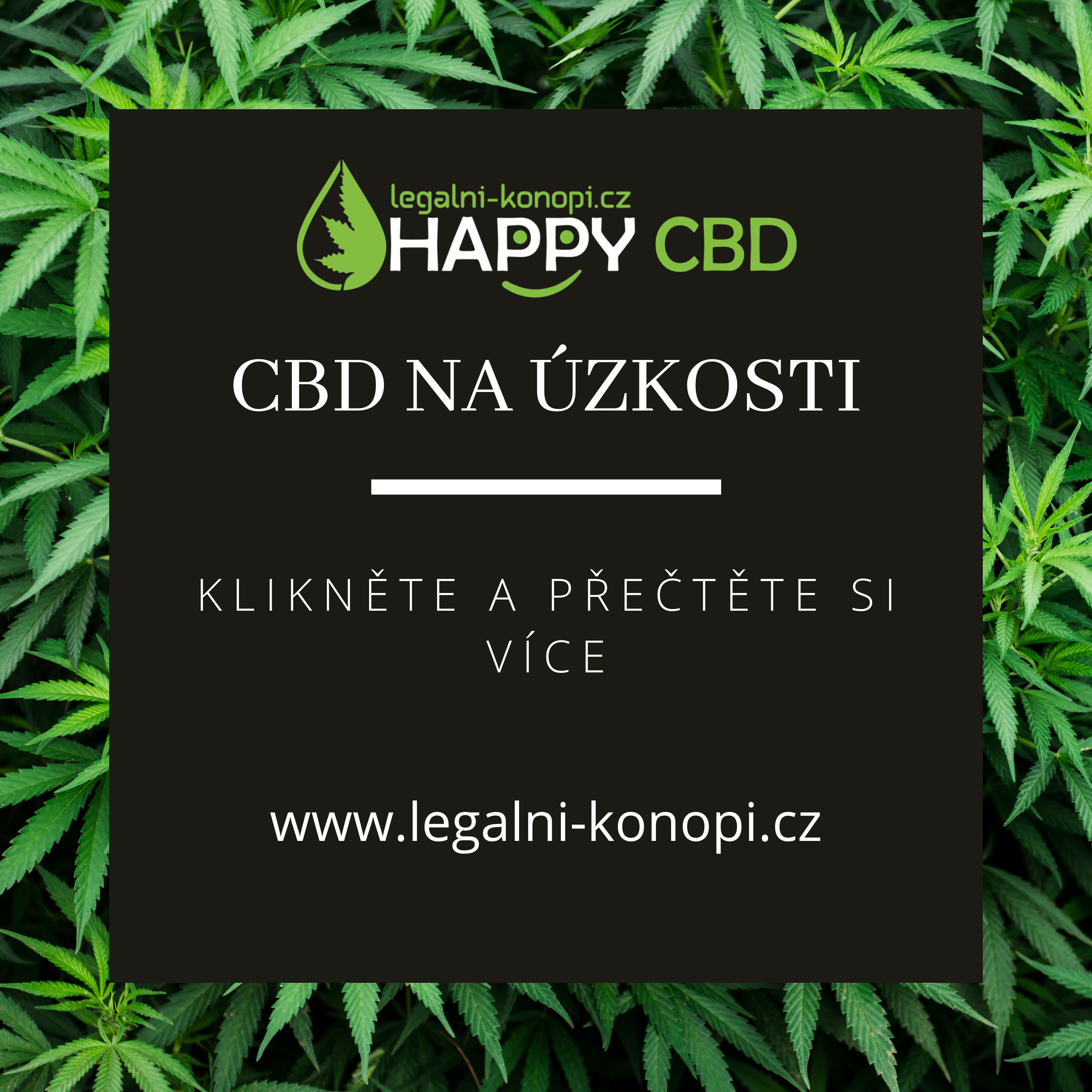 CBD na úzkosti