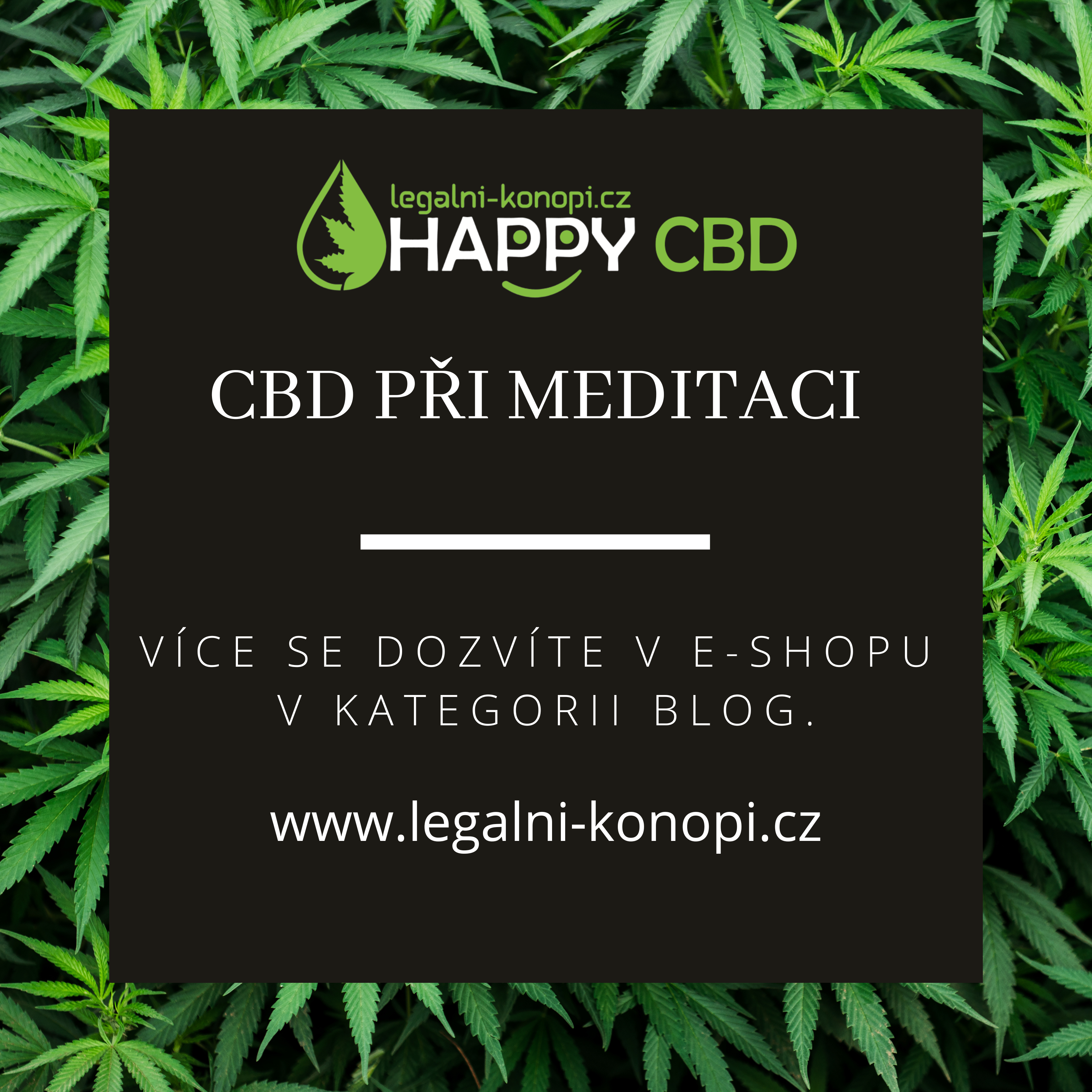 Může CBD pomoci při meditaci?