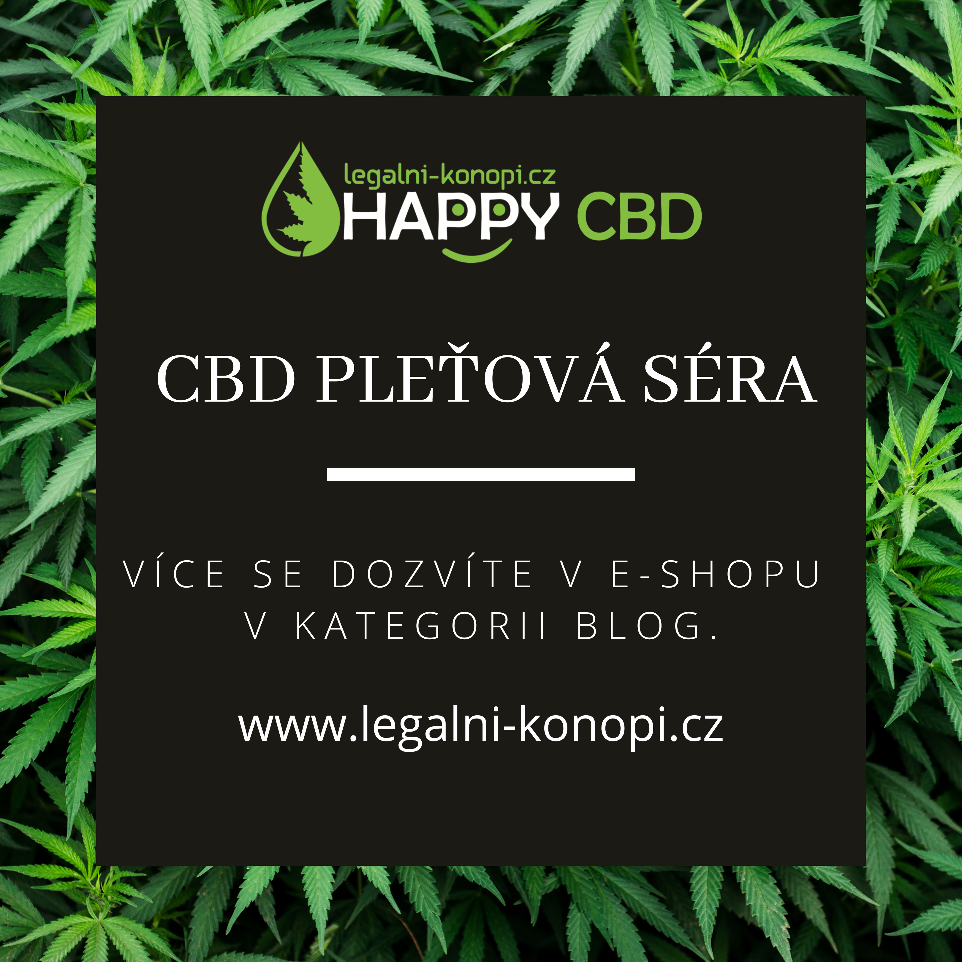CBD  pleťová séra