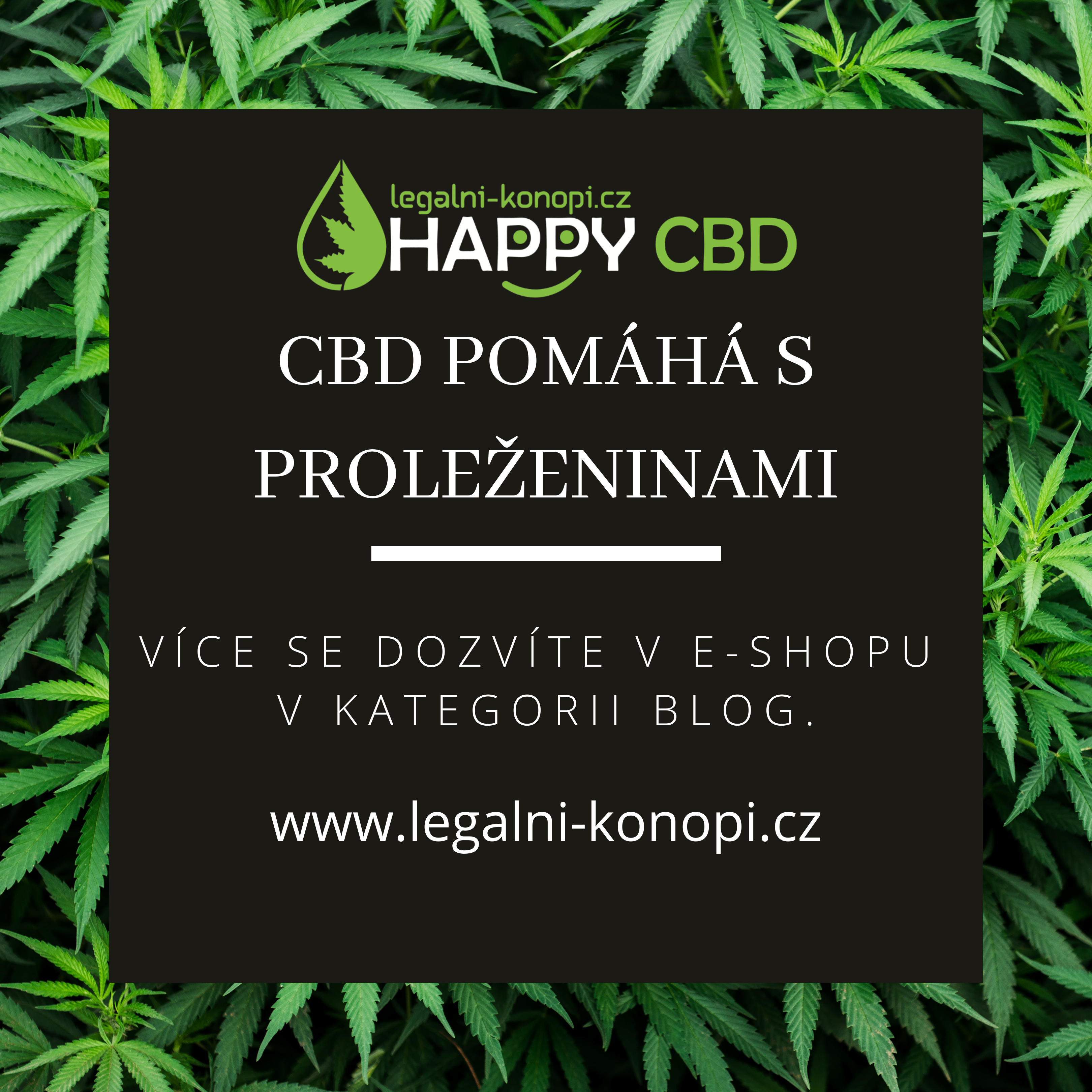 CBD pomáhá s proleženinami
