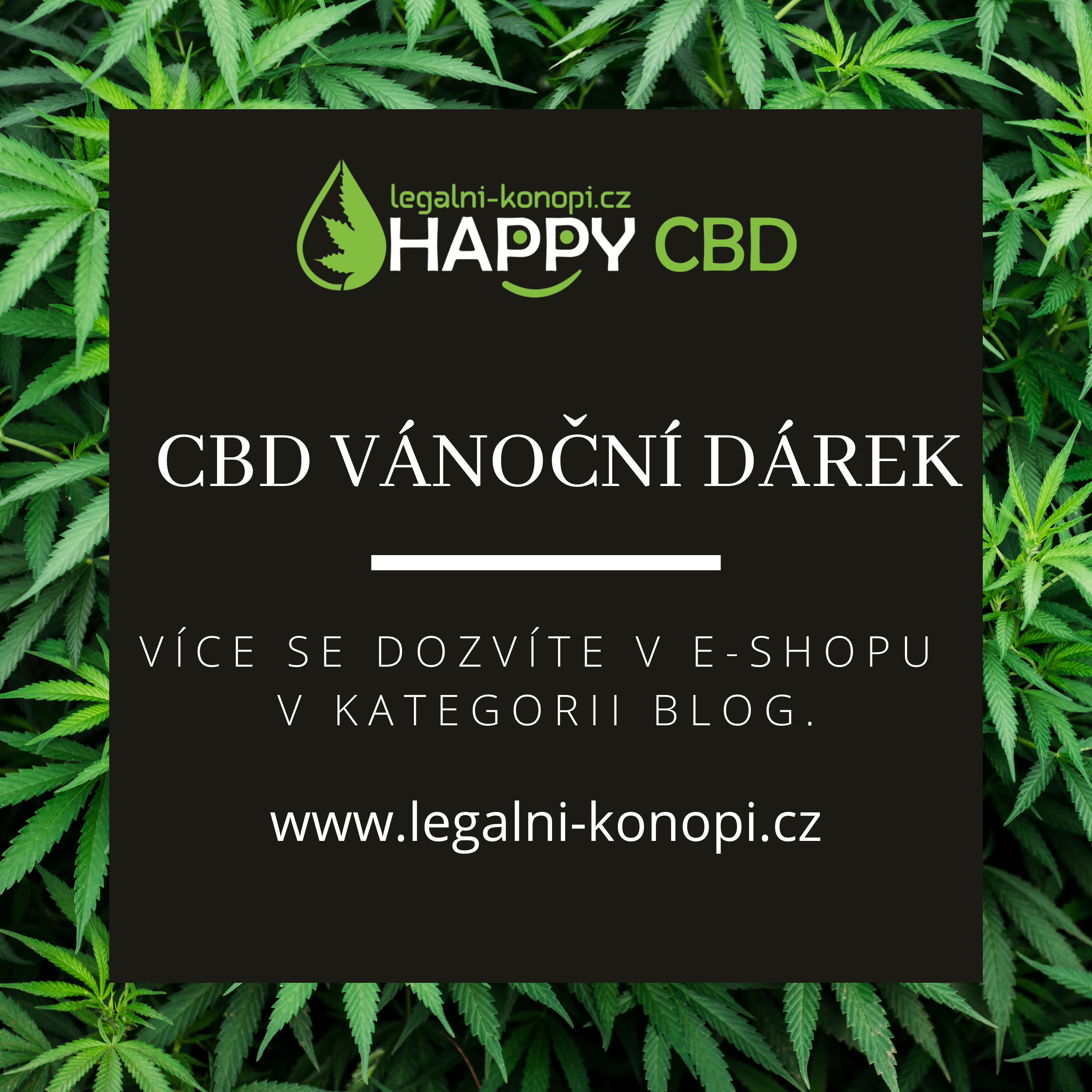 CBD vánoční dárek