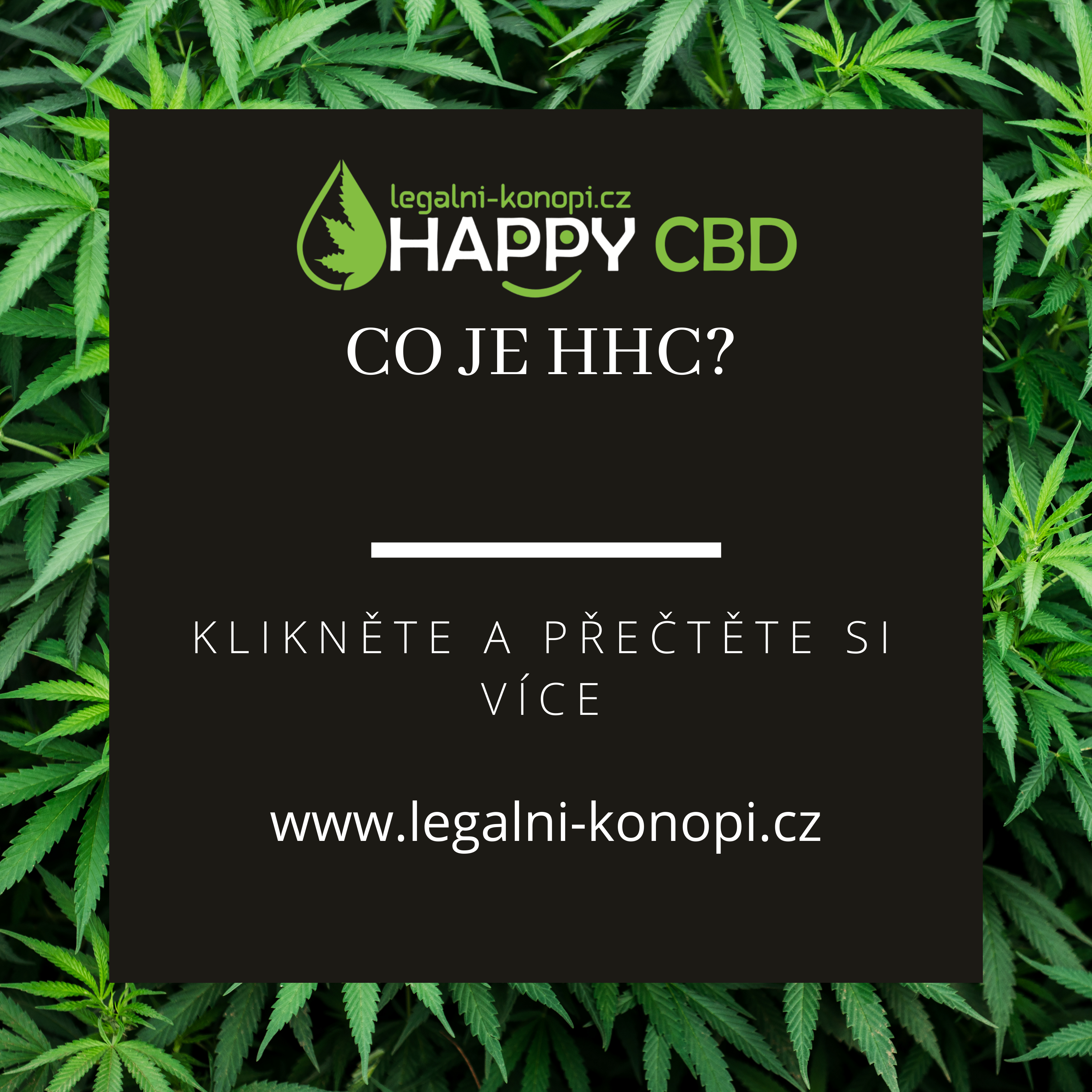 Co je HHC?