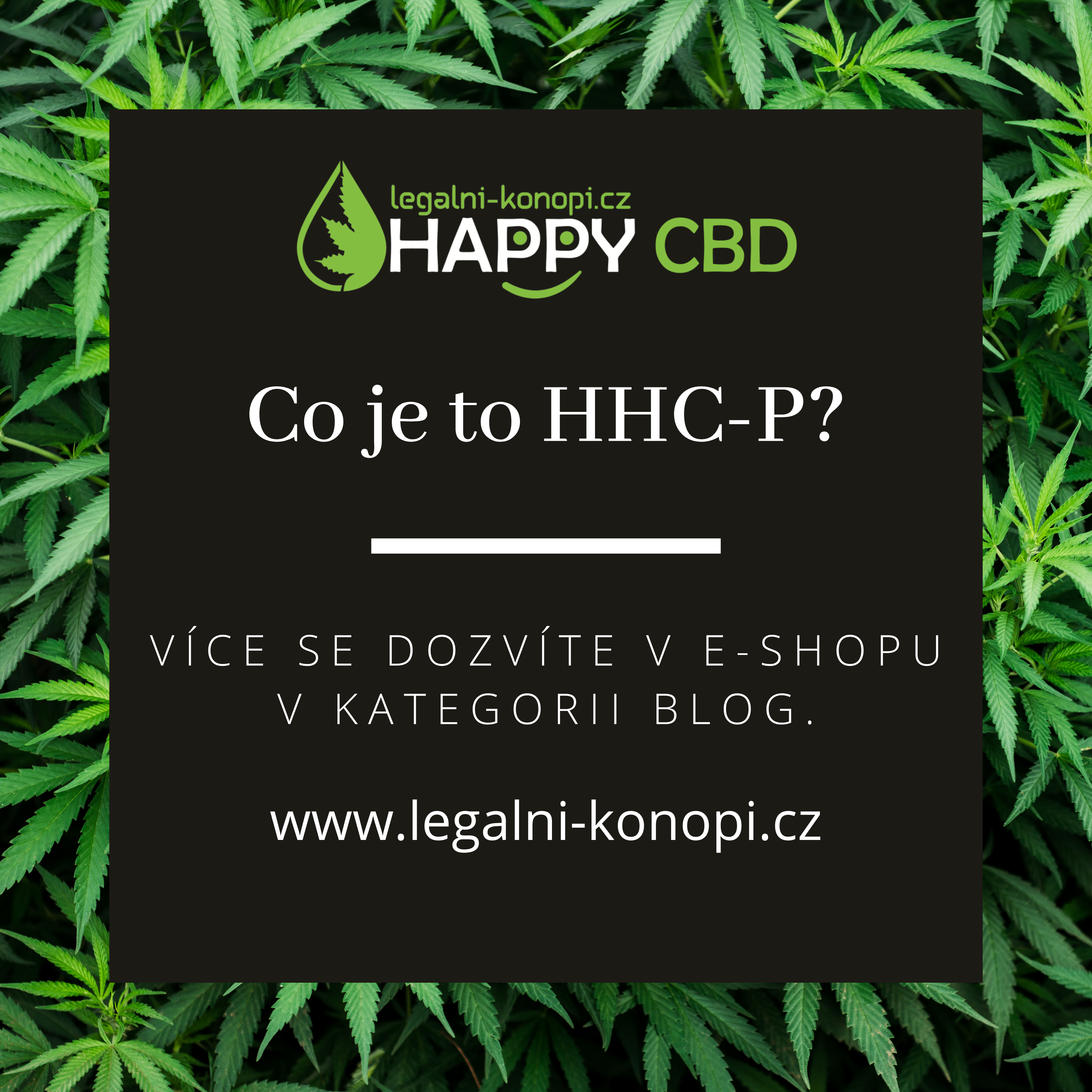 Co je to HHC-P?