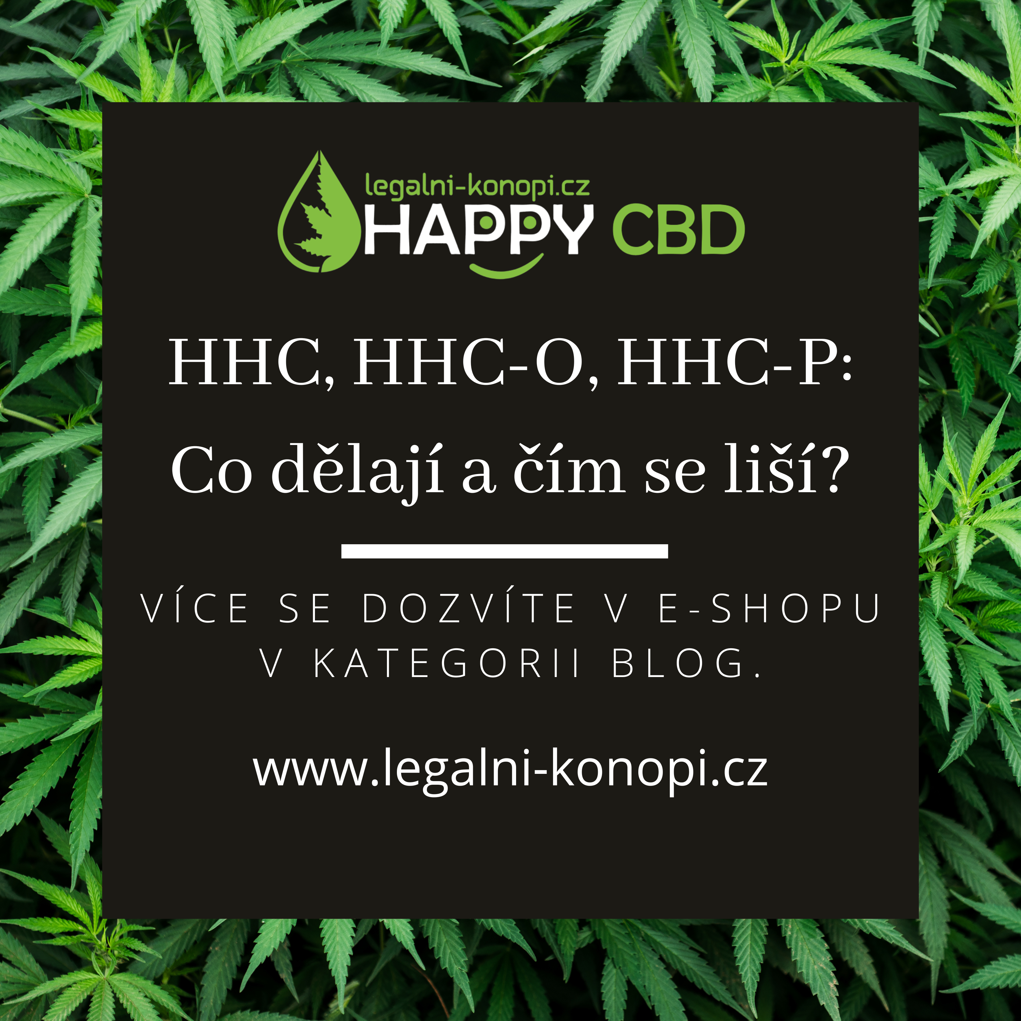 HHC, HHC-O, HHC-P: Co dělají a čím se liší?