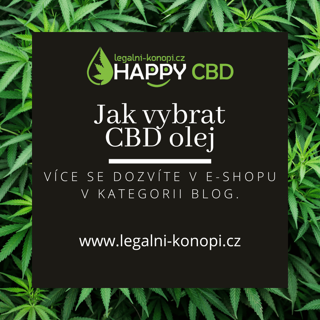 Jak vybrat CBD kapky a olej