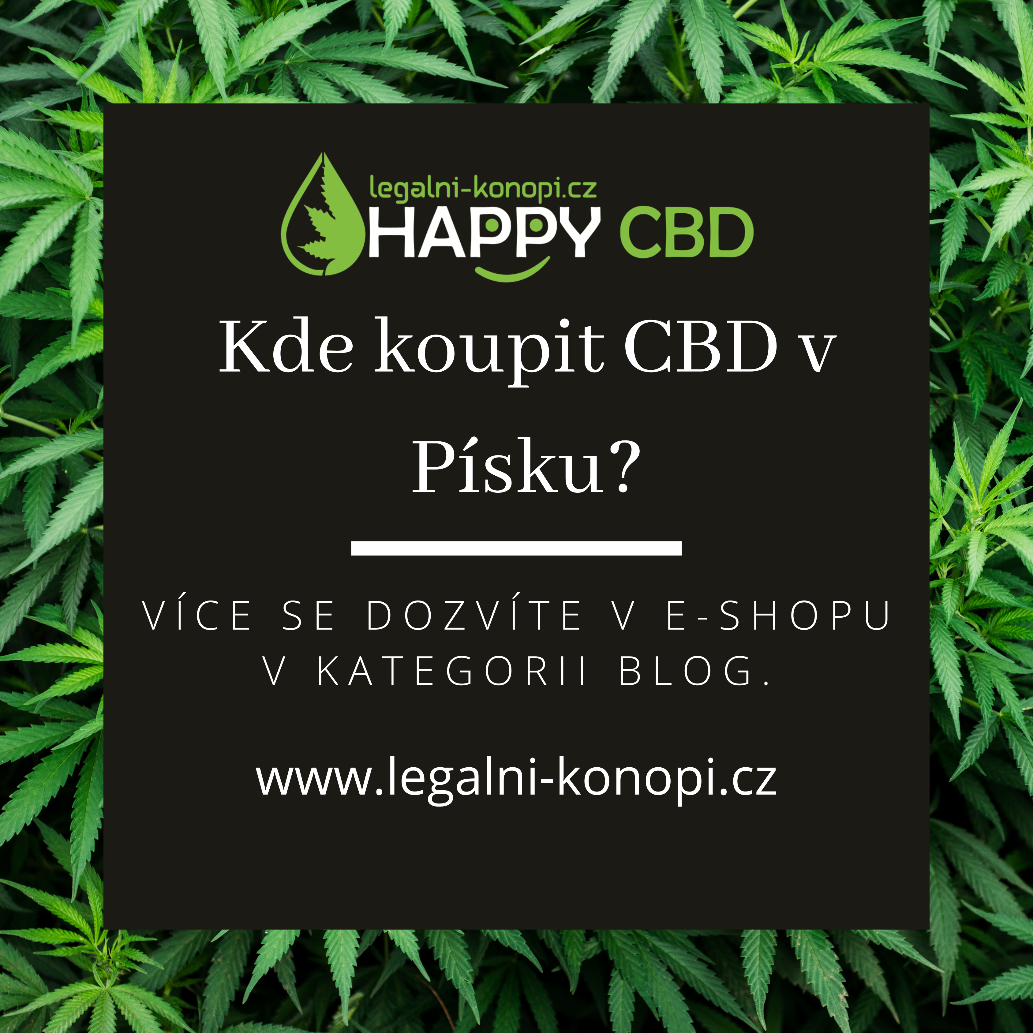 Kde koupit CBD v Písku?