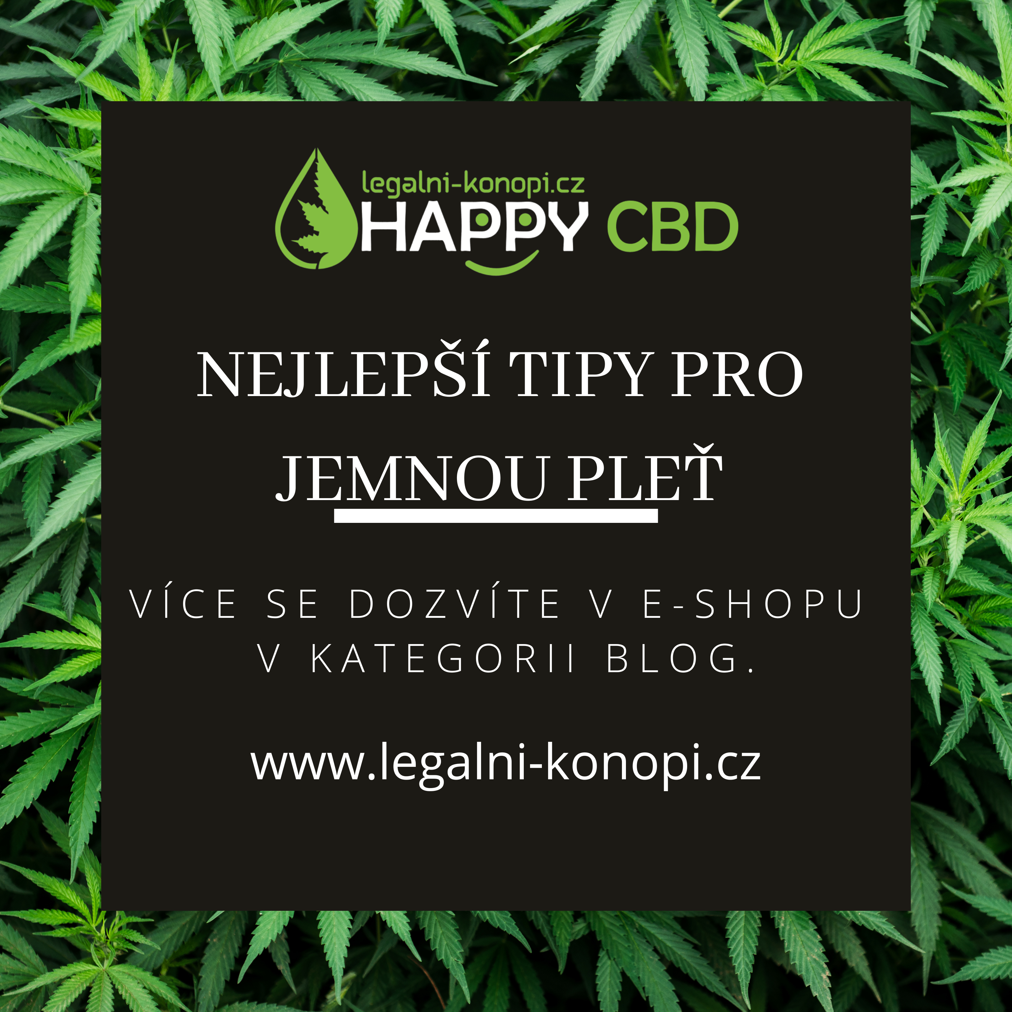 Nejlepší tipy pro jemnou pleť