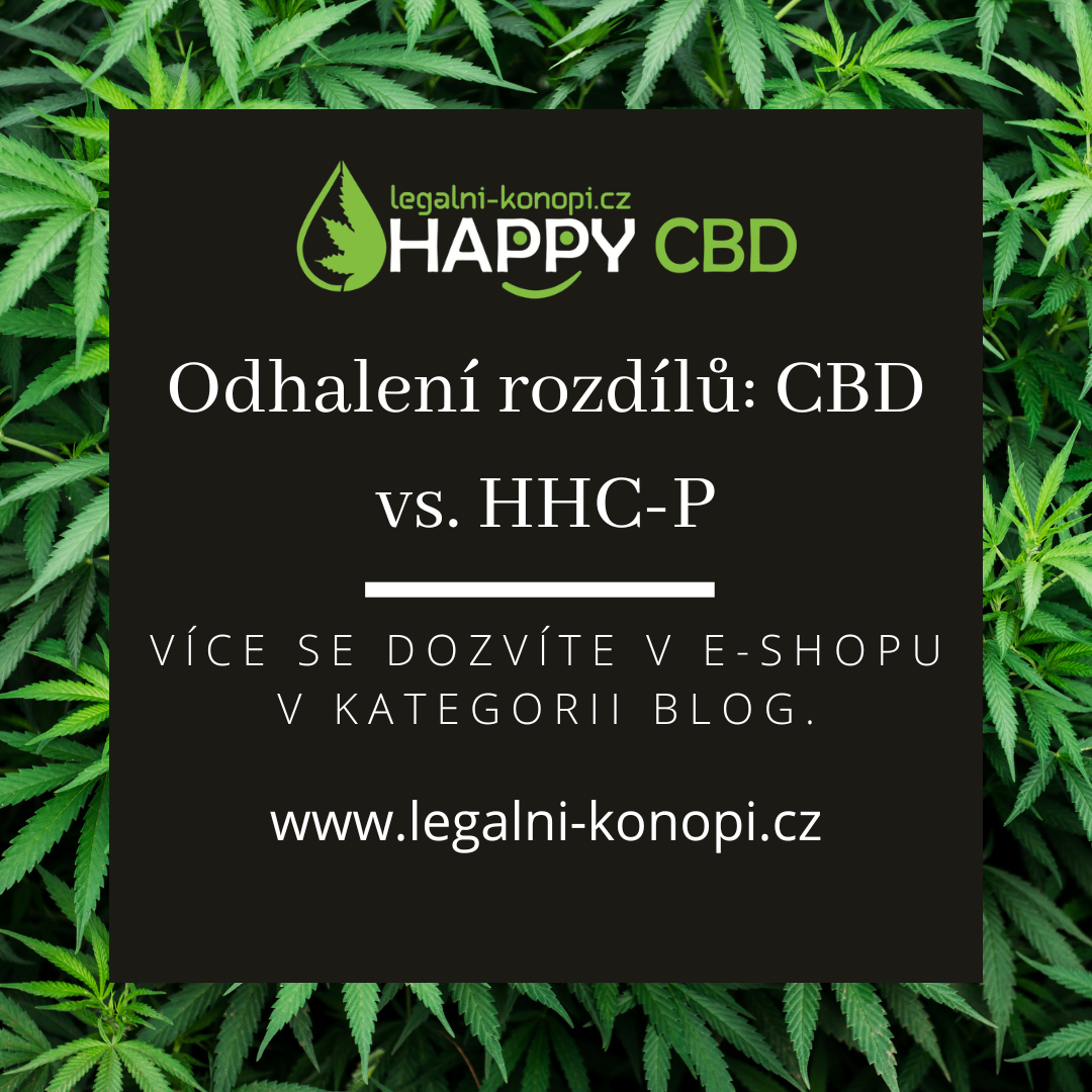 Odhalení rozdílů: CBD vs. HHC-P