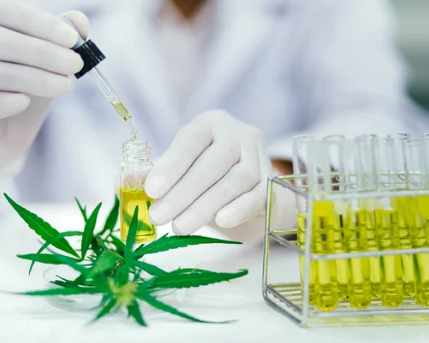 Testování CBD olejů