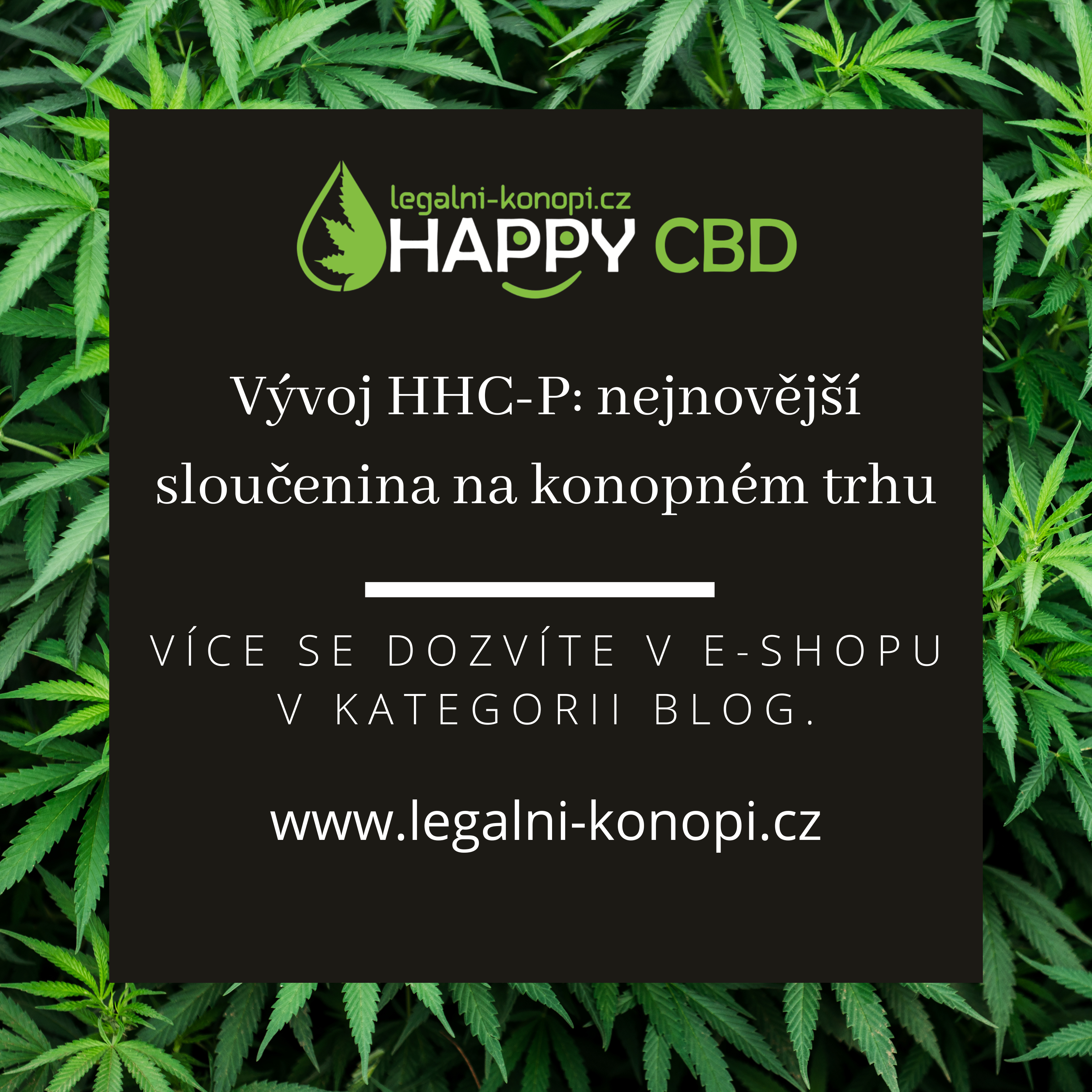 Vývoj HHC-P: nejnovější sloučenina na konopném trhu