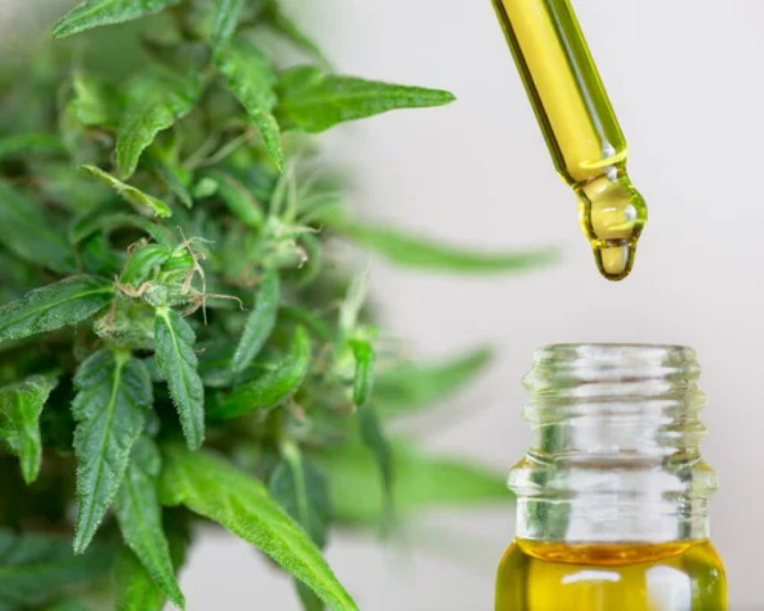 Zkušenosti s CBD olejem