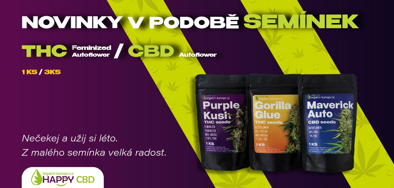 THC semínka
