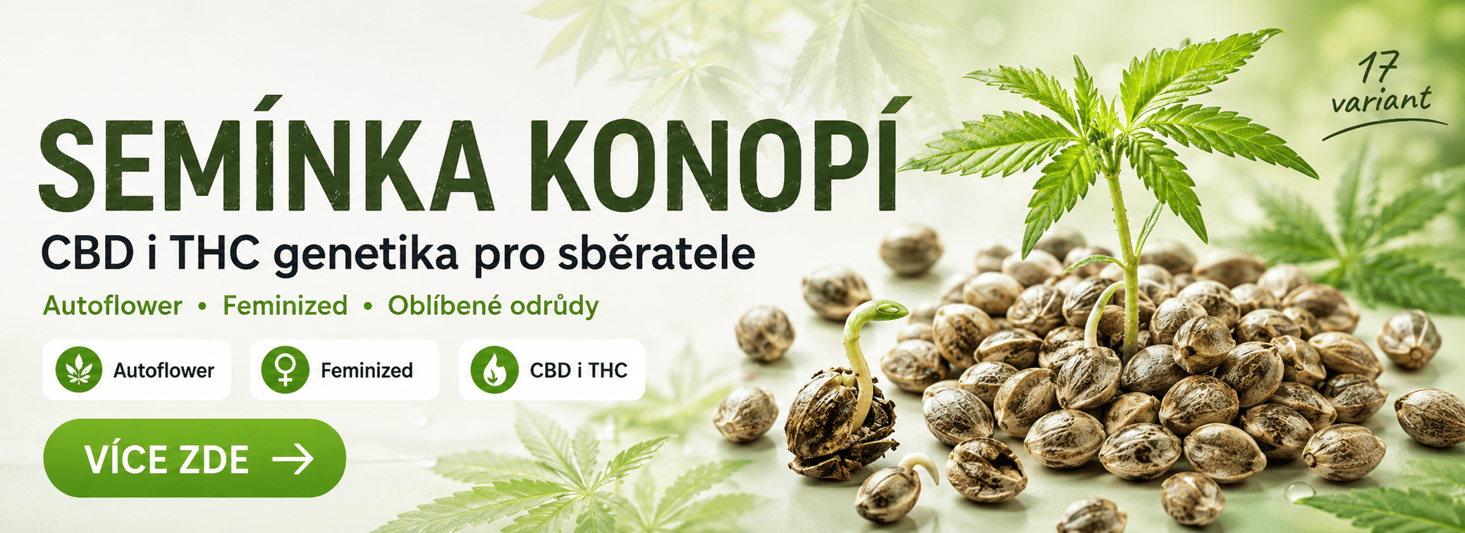Semínka konopí