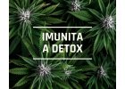 Imunita a detox (CBD, CBG, CBN)