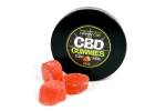 CBD Medvídci