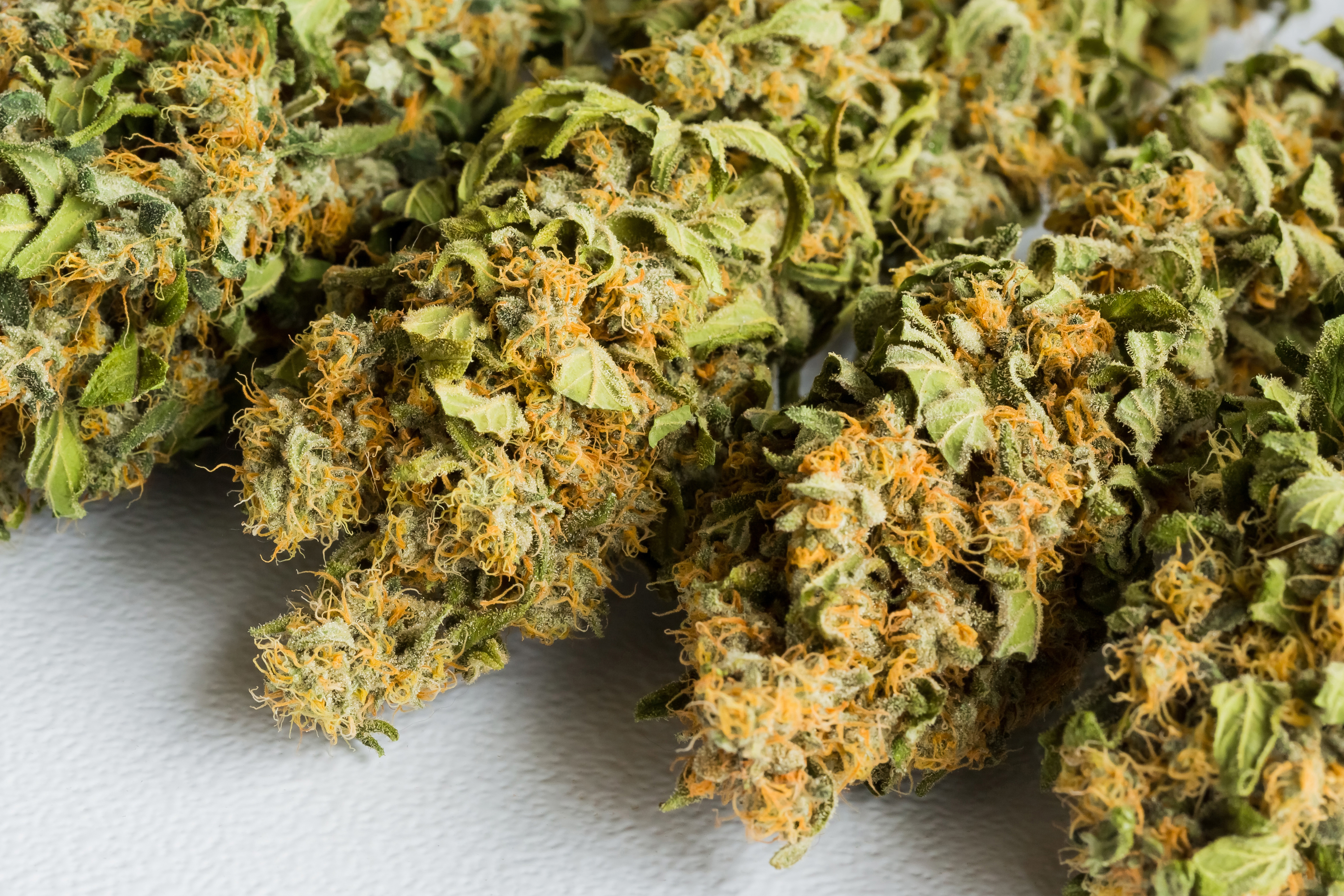 selective-focus-shot-cannabis-white-surface
