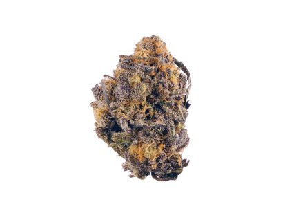 YA0VM3EQdWeg3RdGTbXG purple kush jman