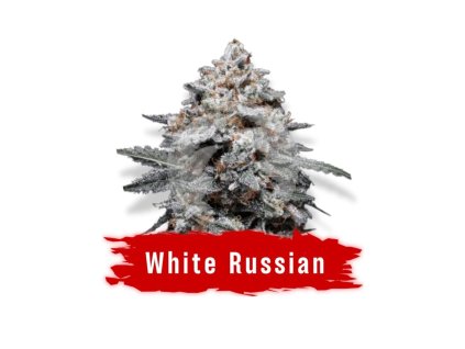white russian