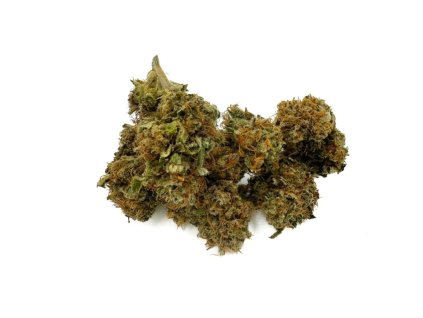 NANO10-R květy – Orange Bud