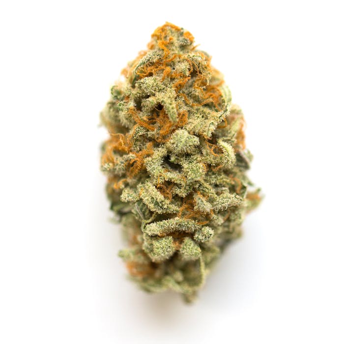 Semínka THC Feminized - Orange OG 18 % THC Množství: 1 ks