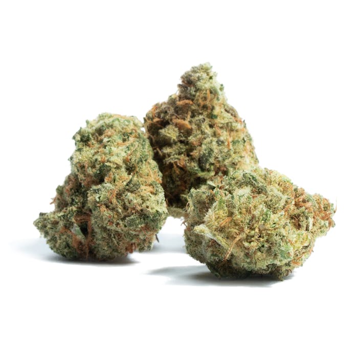 Semínka THC Feminized - Amnesia Haze 18-20 % THC Množství: 1 ks