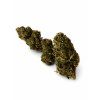 diesel tonic
