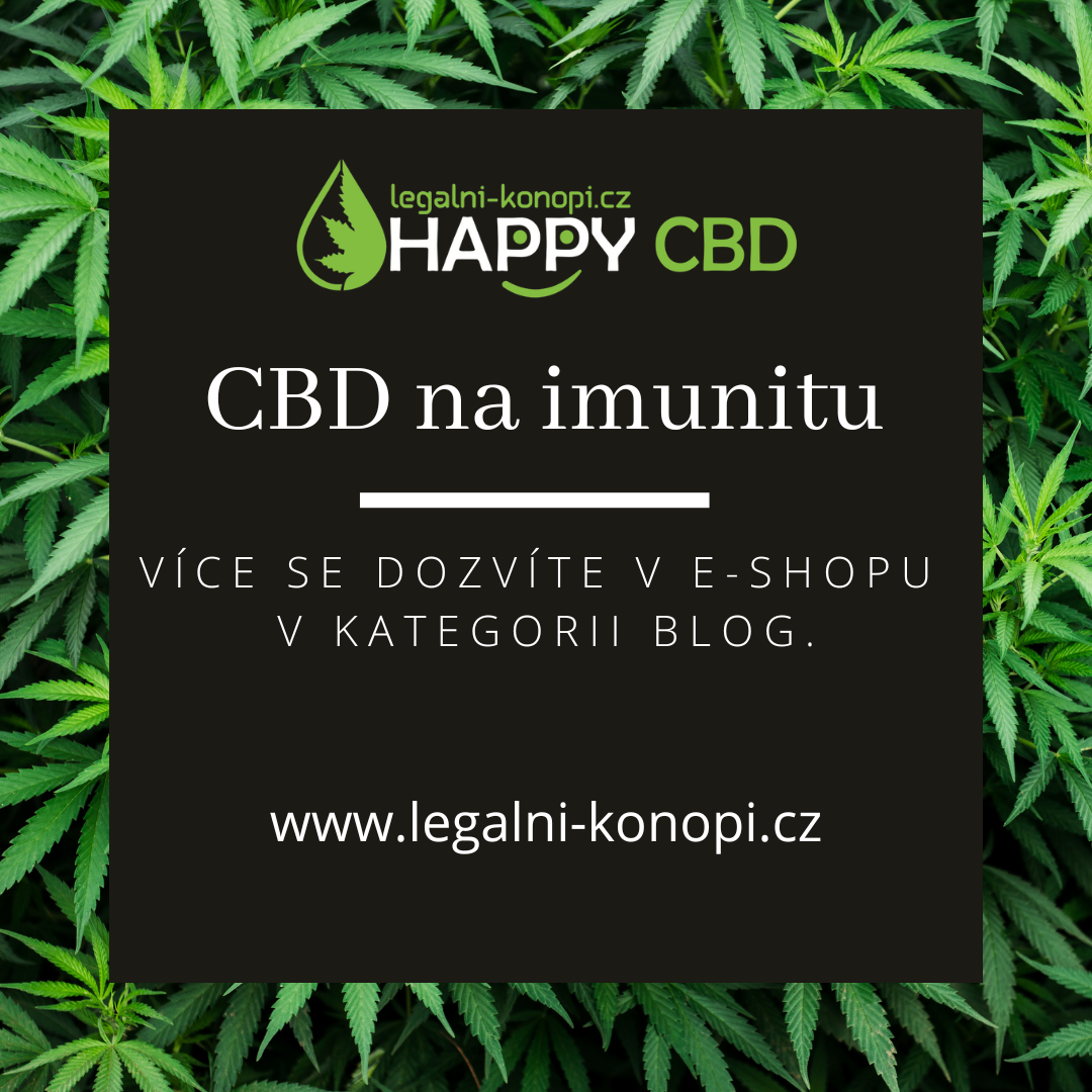 CBD na imunitu