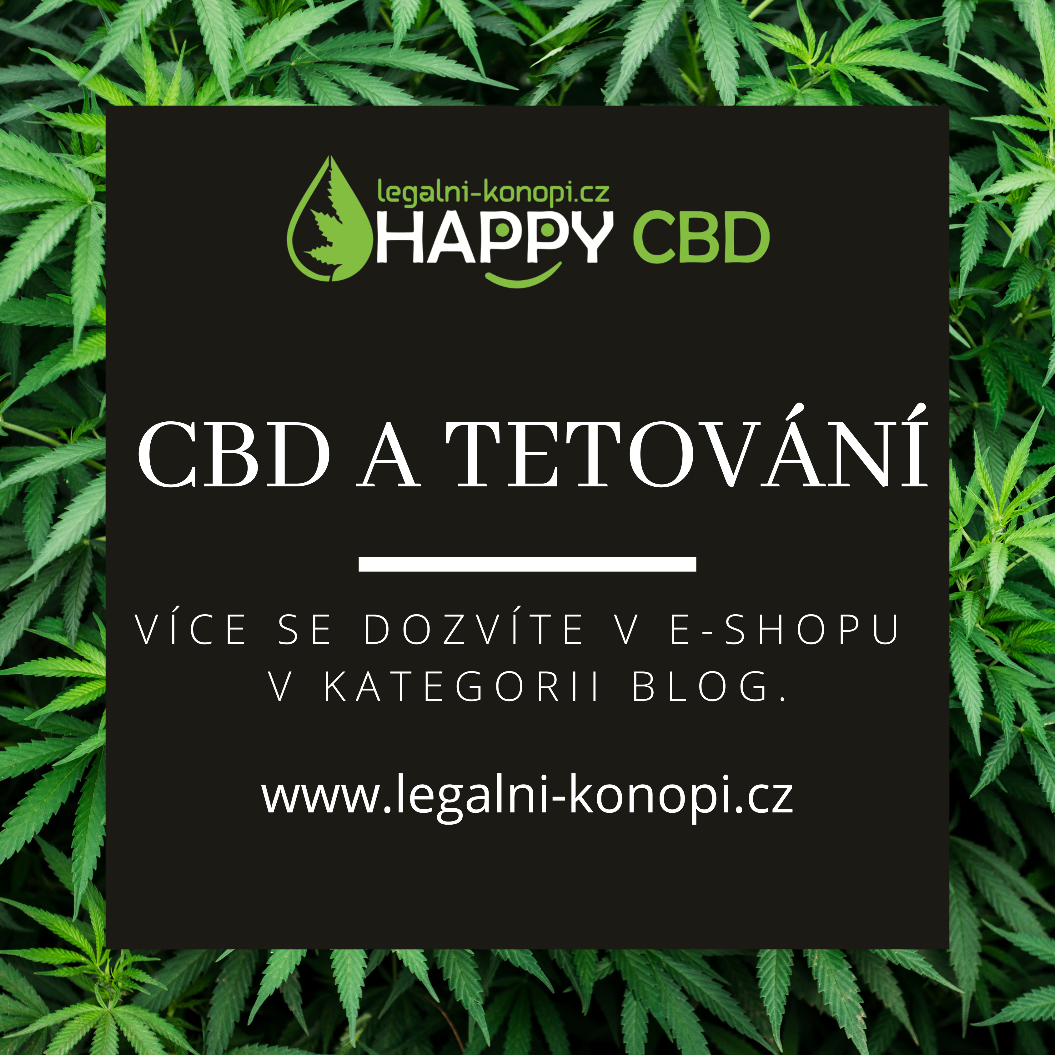 CBD a tetovanie