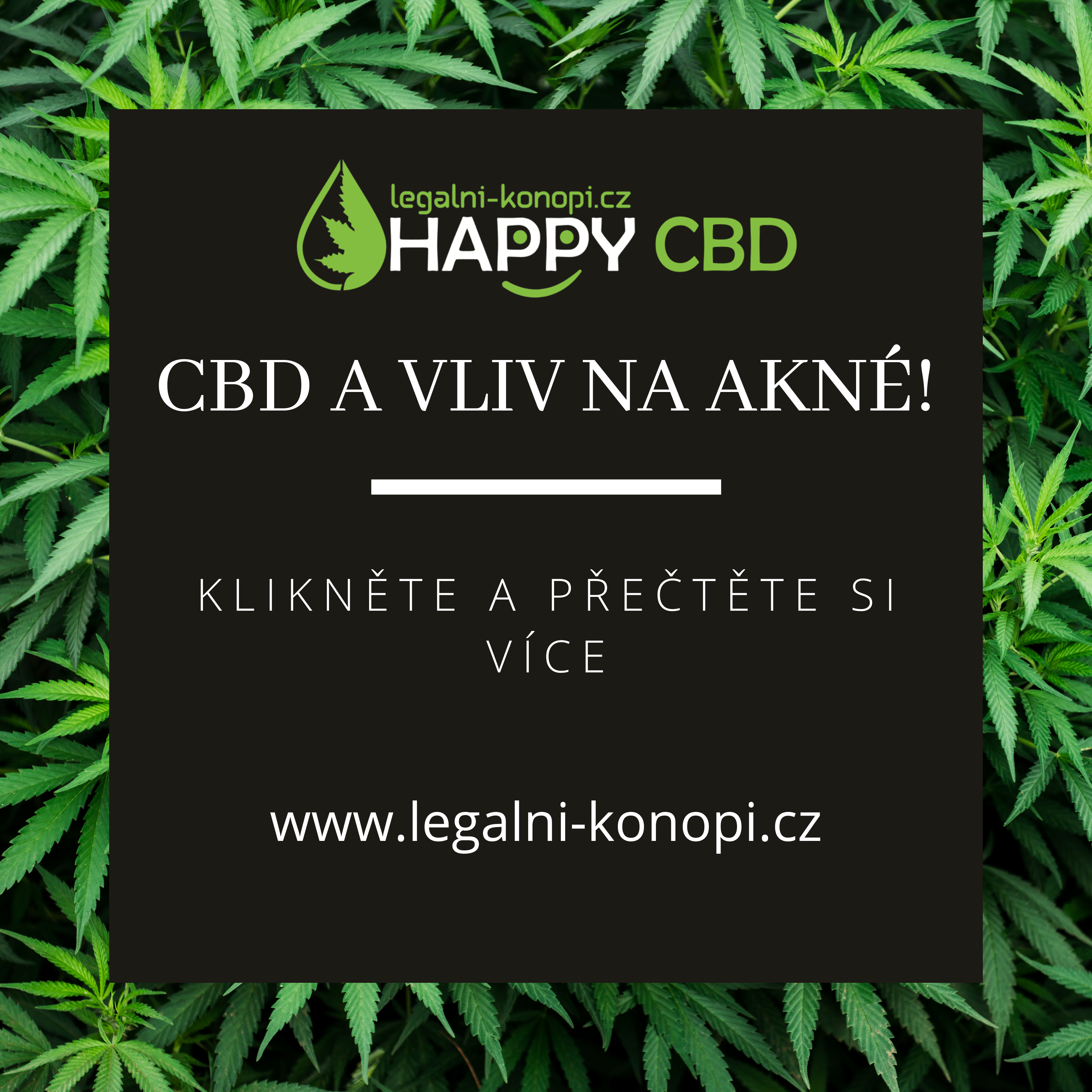 CBD a vplyv na akné