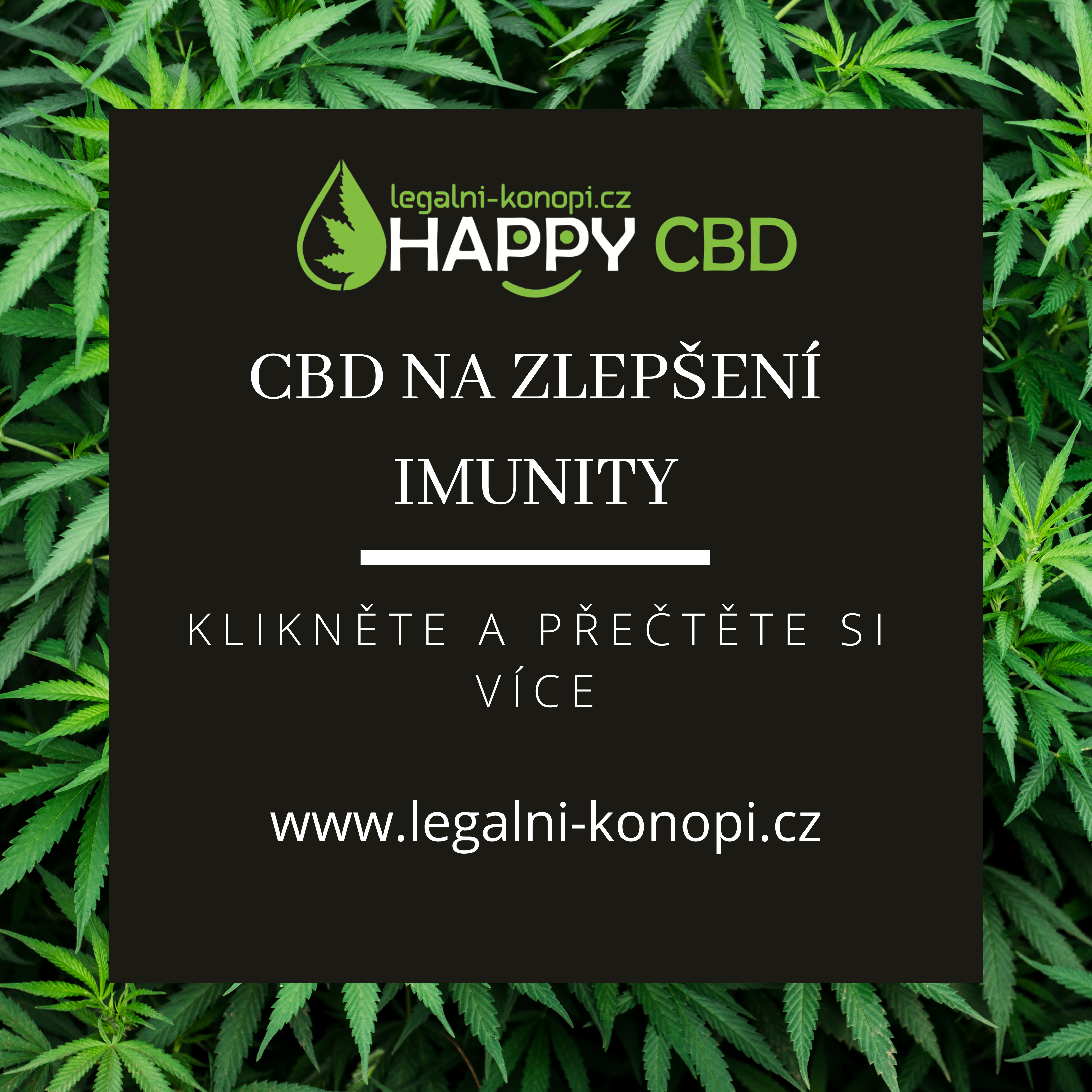 CBD na zlepšenie imunity