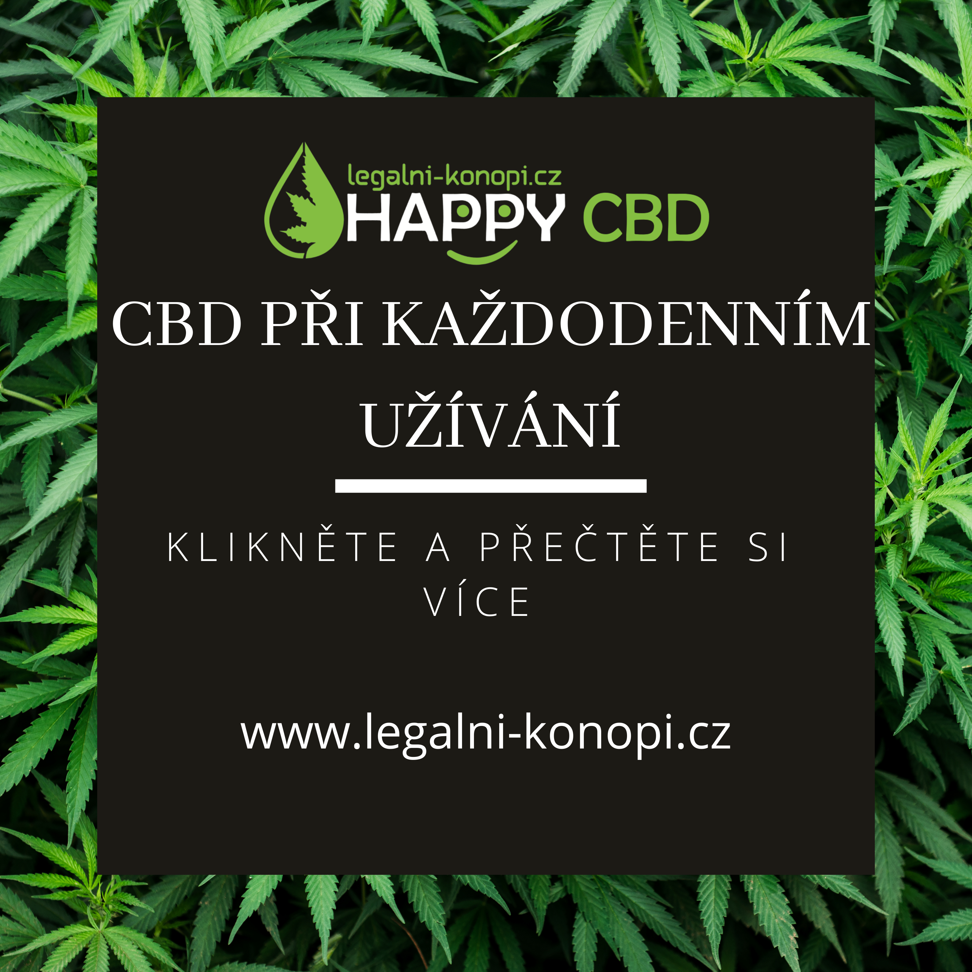 CBD pri každodennom používaní