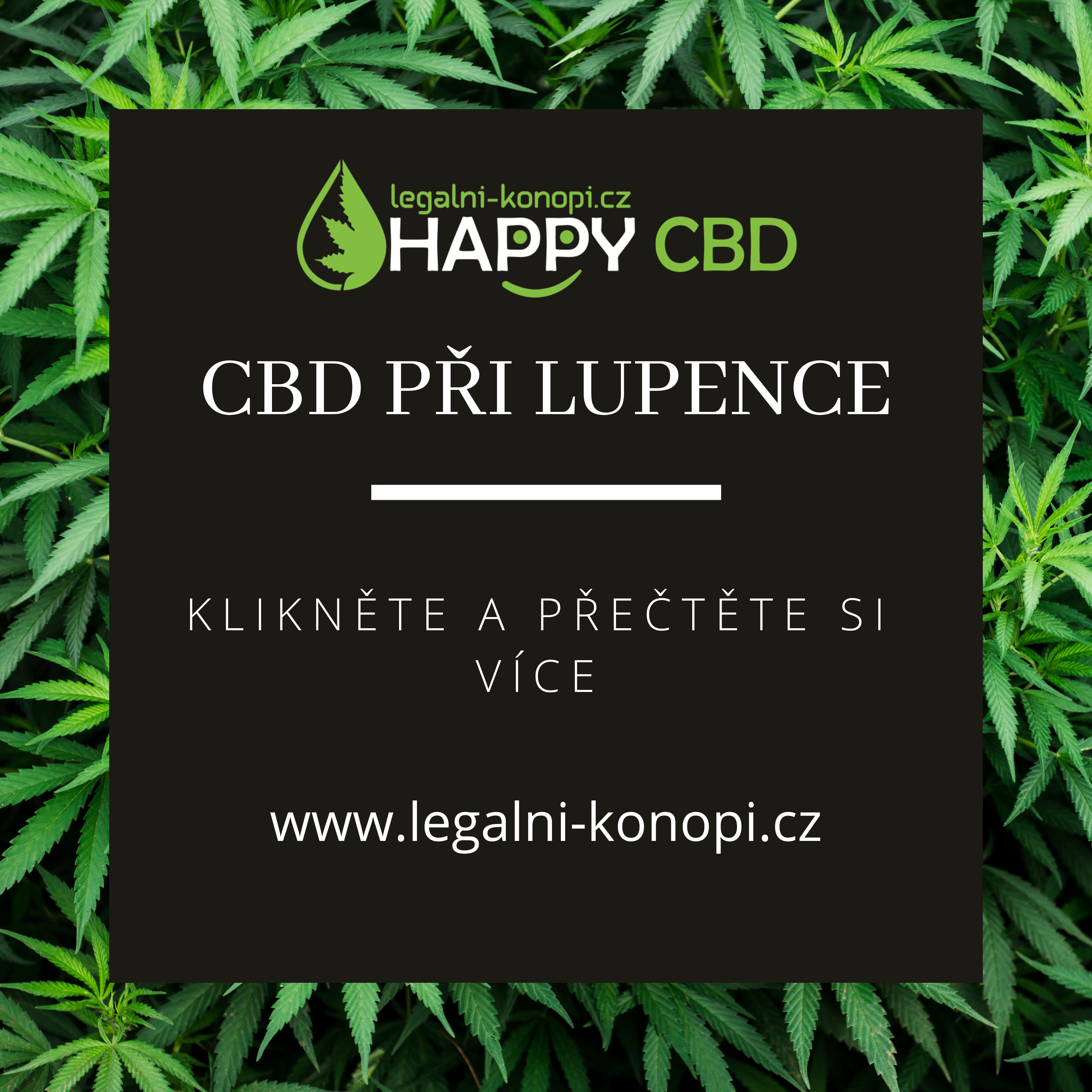 CBD pri lupienke