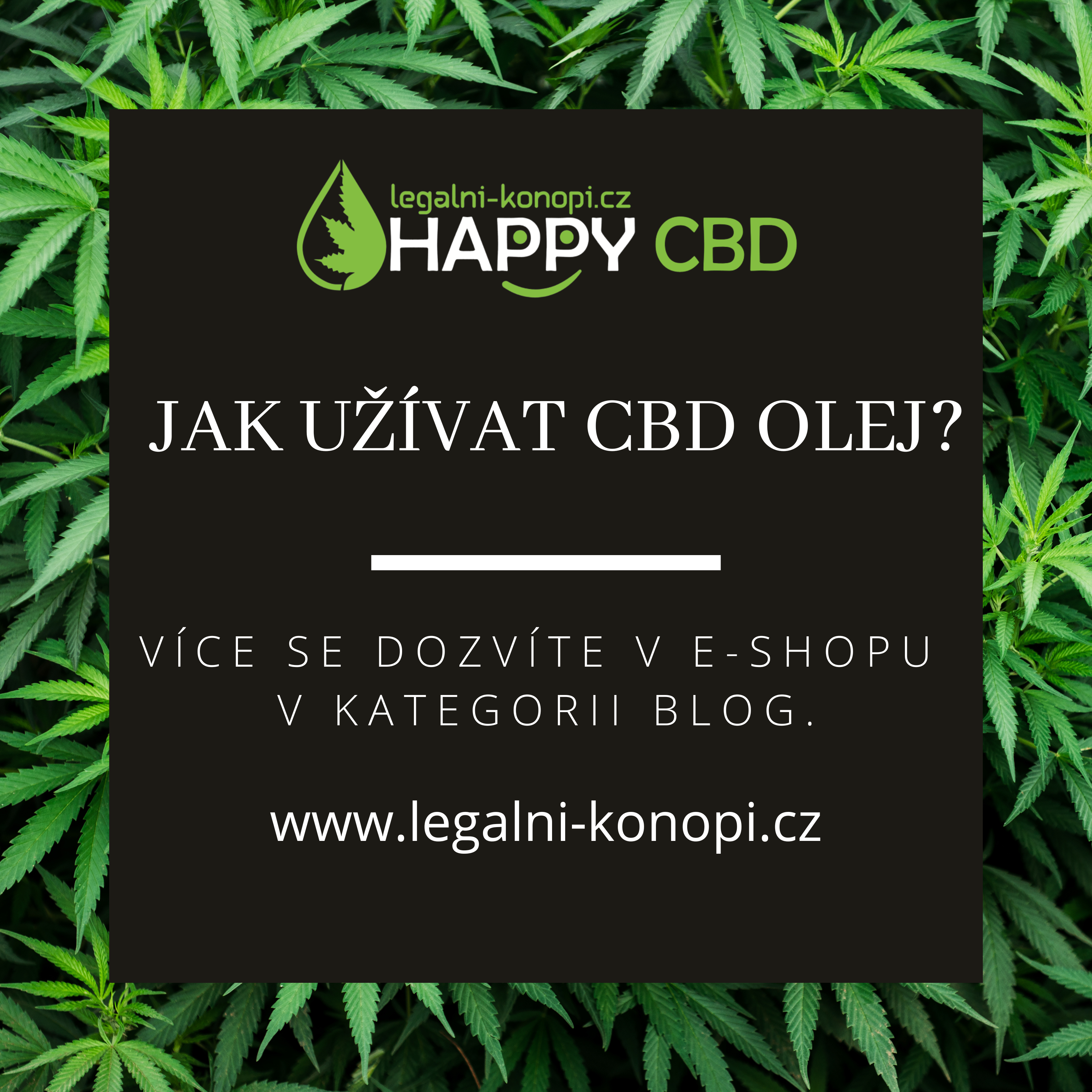 Ako užívať CBD olej?