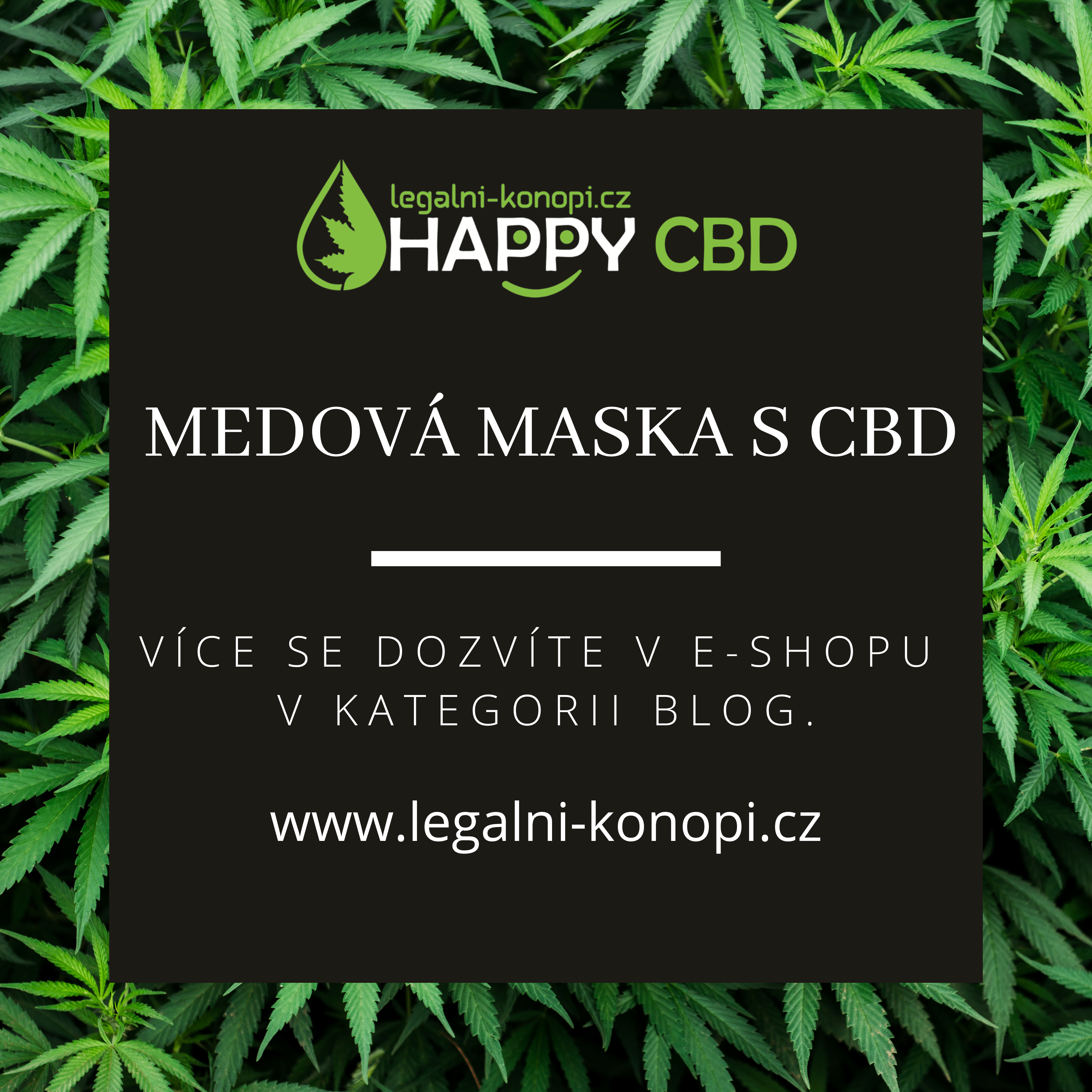 Medová pleťová maska s CBD