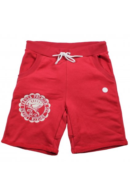 yakuza premium shorts 1 1 kopie