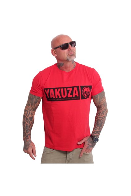 TSB25046ribbonred amazon1